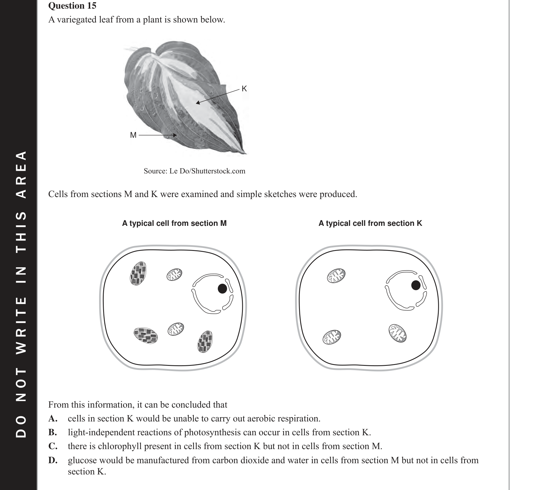Biology 2017 Exam Question 15 — Light independent stage in C3 plants, Location of photosynthesis stages