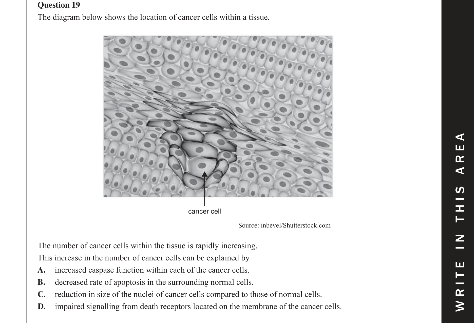 Biology 2017 Exam Question 19 — Proteome diversity and enzyme function