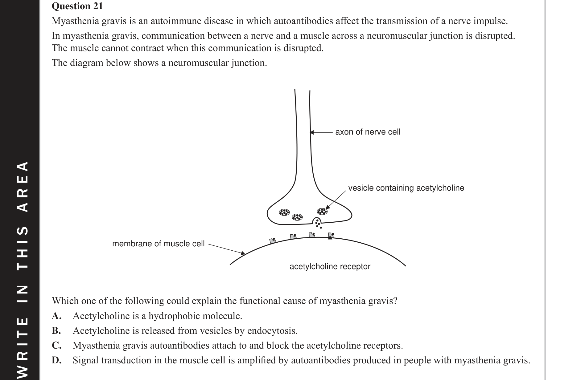 Biology 2017 Exam Question 21 — Allergens and allergic responses