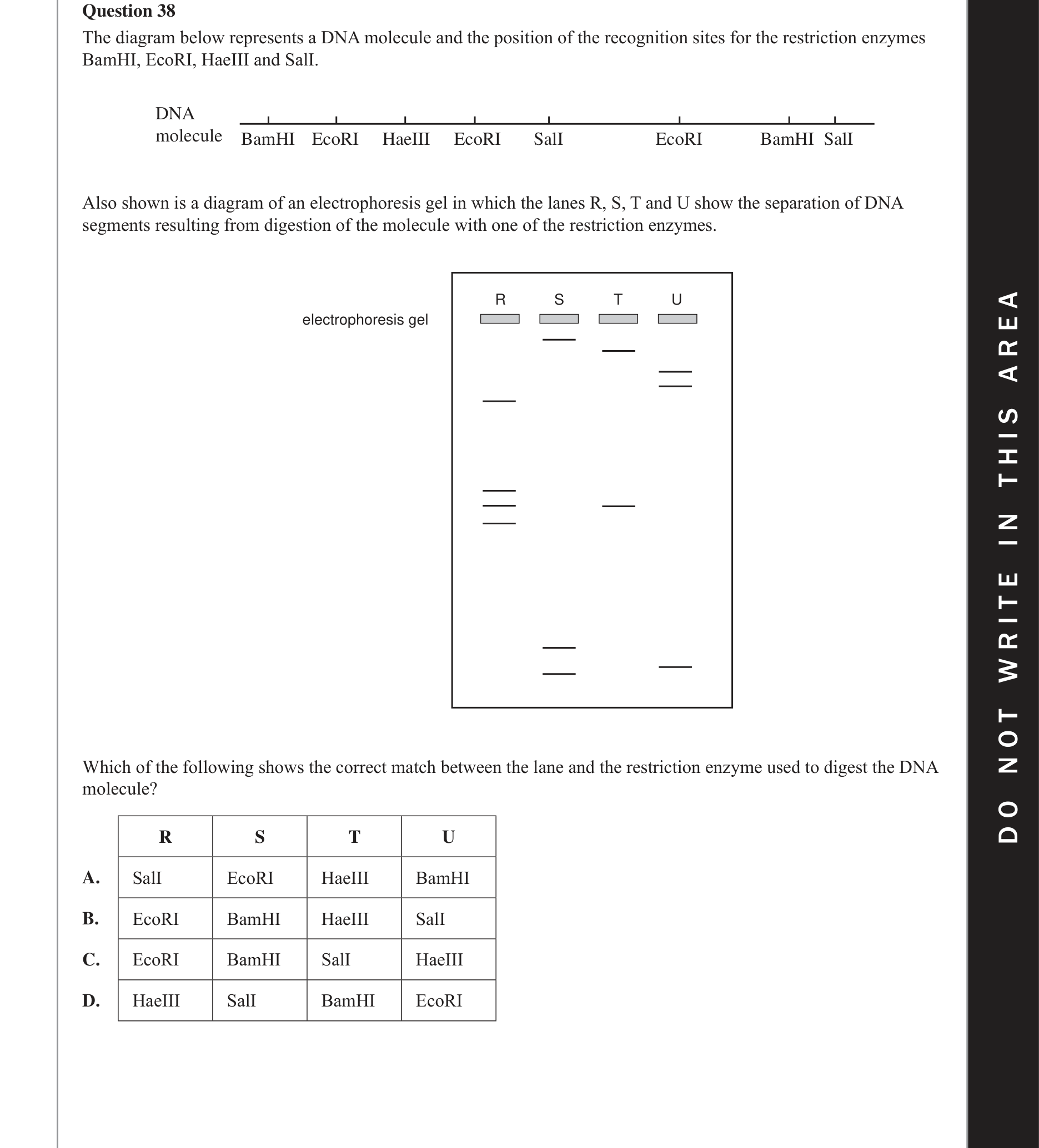 Biology 2017 Exam Question 38 — Enzymes for DNA manipulation, Gel electrophoresis and DNA profiling