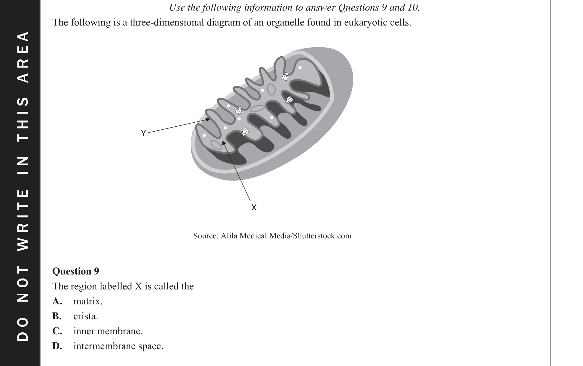 Biology 2017 Exam Question 9 — Krebs Cycle inputs, outputs and location