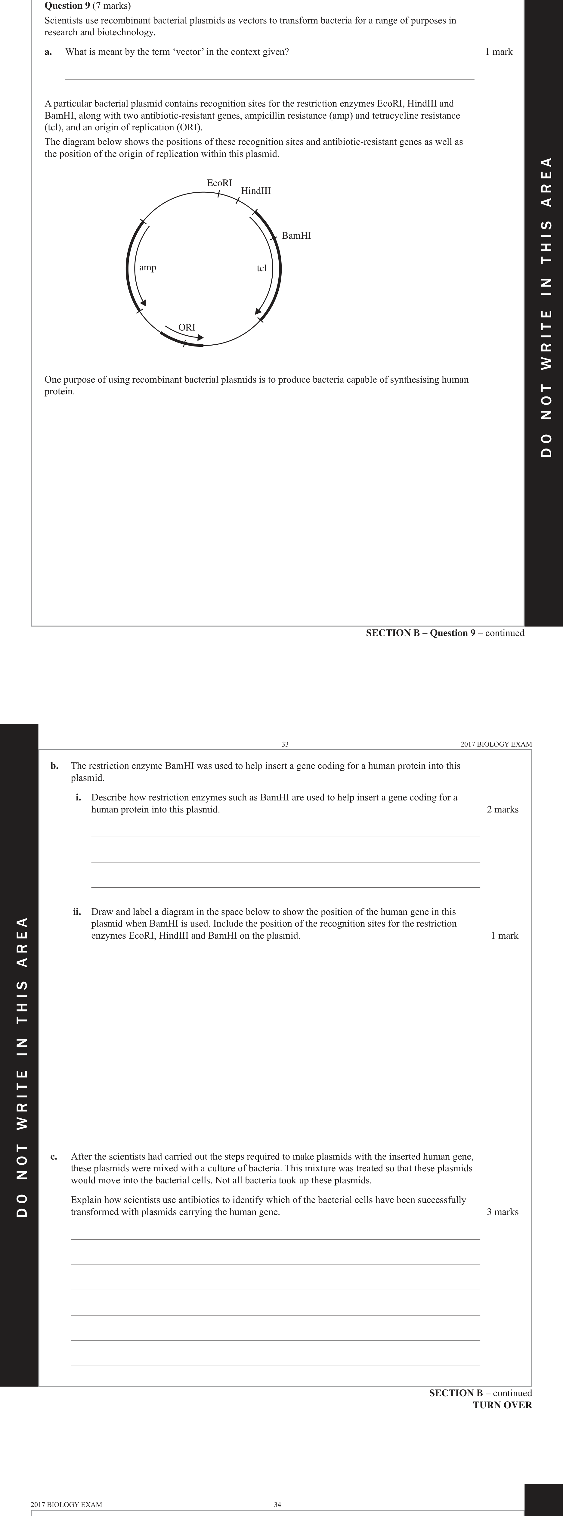 Biology 2017 Exam Question 9(b)(ii) — Recombinant plasmids and bacterial transformation