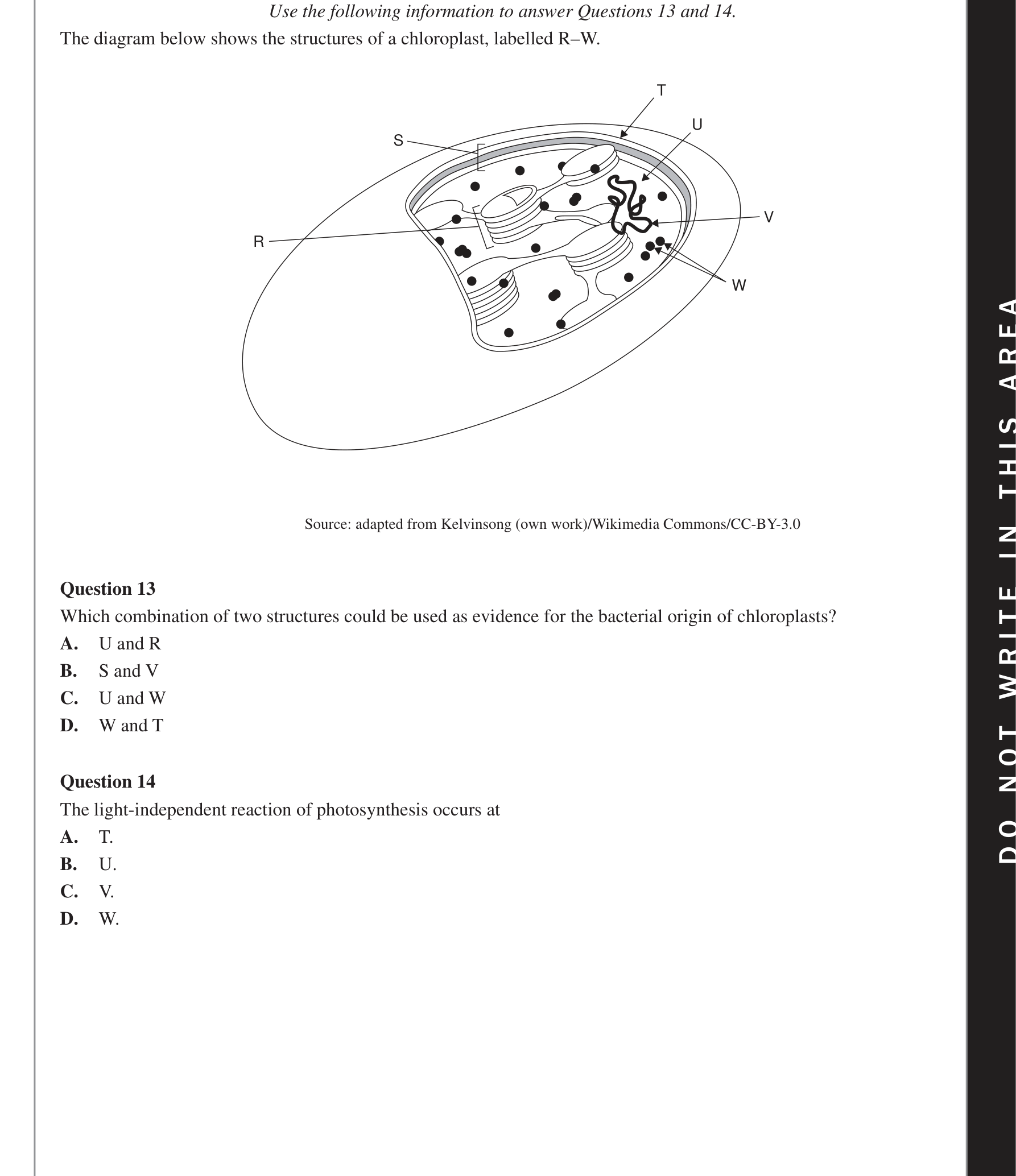 Biology 2018 Exam Question 14 — Light independent stage in C3 plants, Location of photosynthesis stages