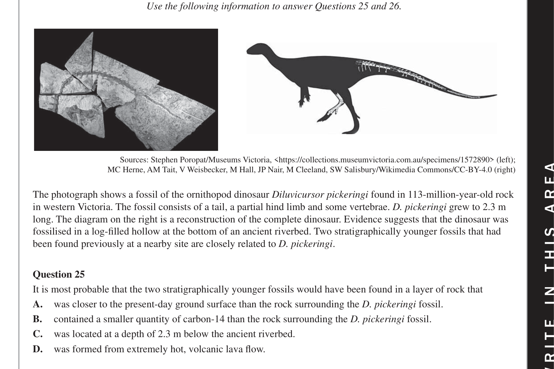 Biology 2018 Exam Question 25 — Relative and absolute fossil dating, Fossil record and faunal succession