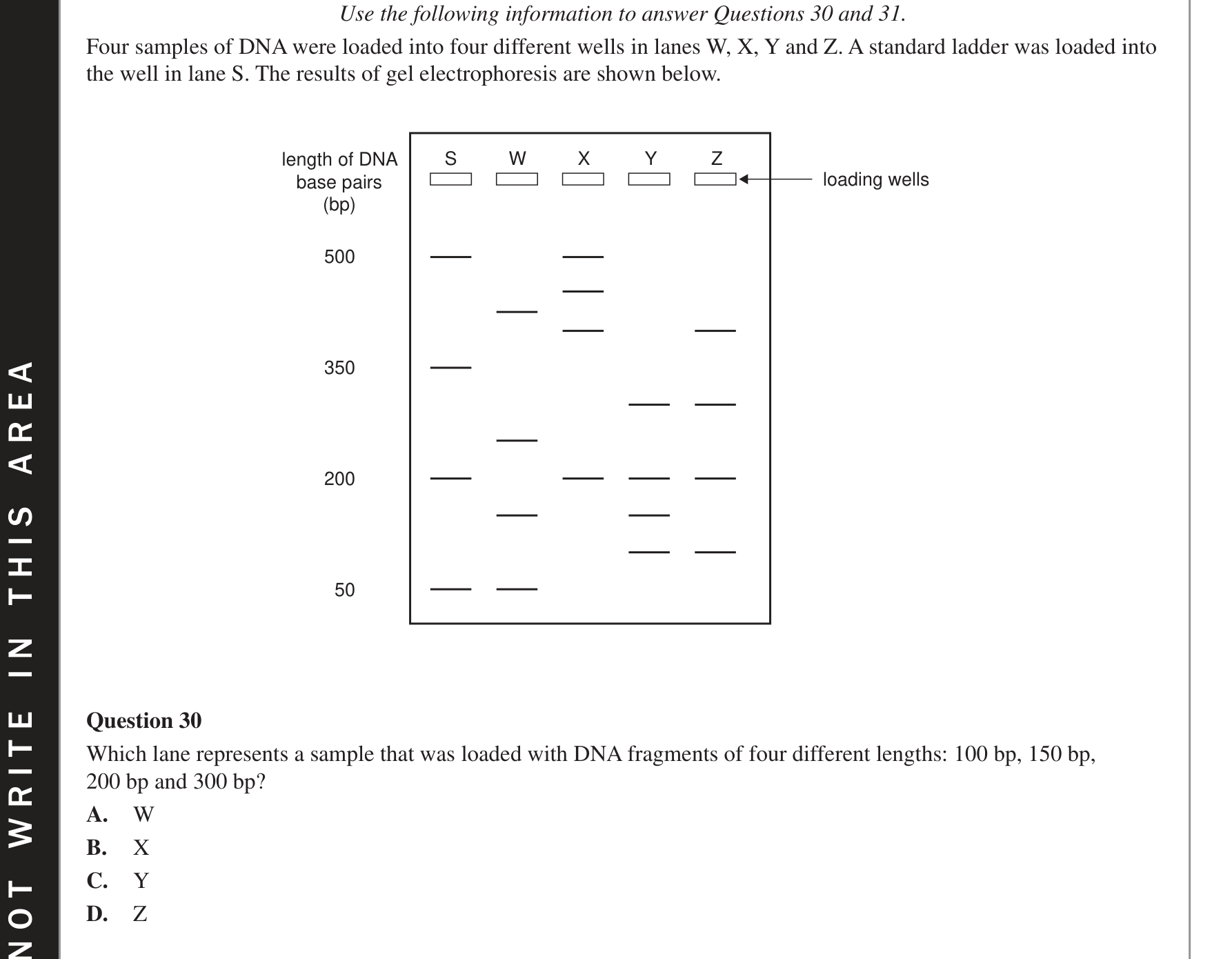 Biology 2018 Exam Question 30 — Gel electrophoresis and DNA profiling