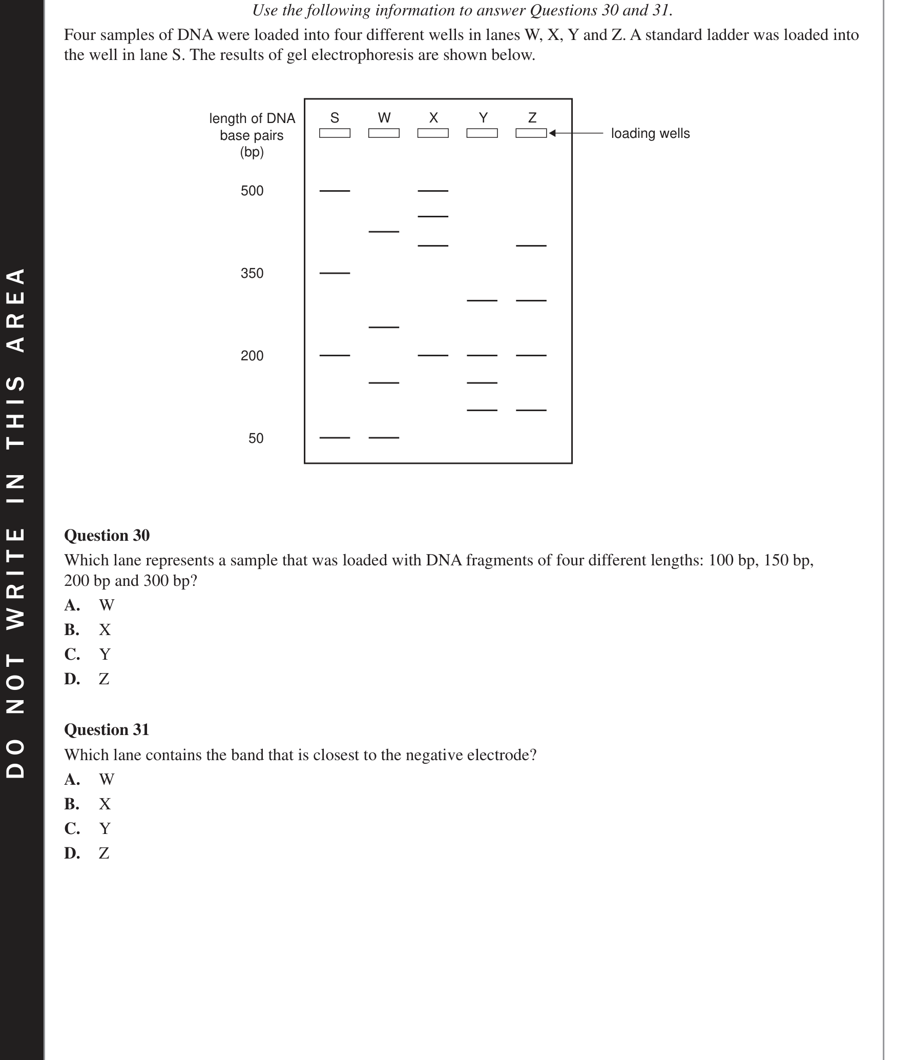 Biology 2018 Exam Question 31 — Gel electrophoresis and DNA profiling
