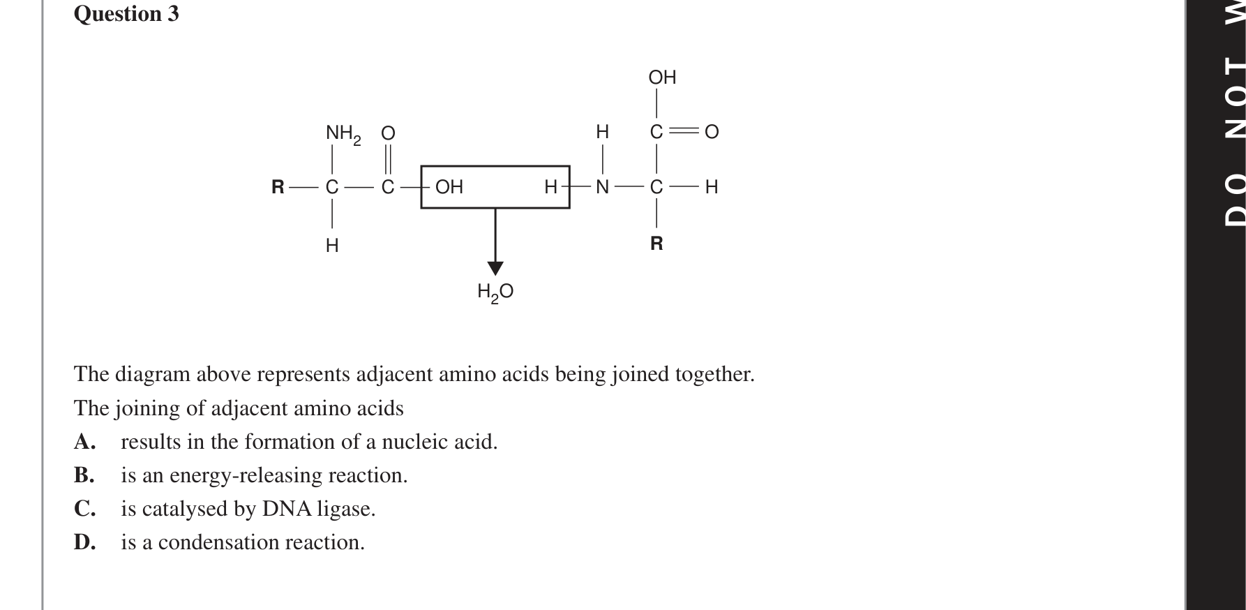 Biology 2018 Exam Question 3 — Amino acids and polypeptide structure