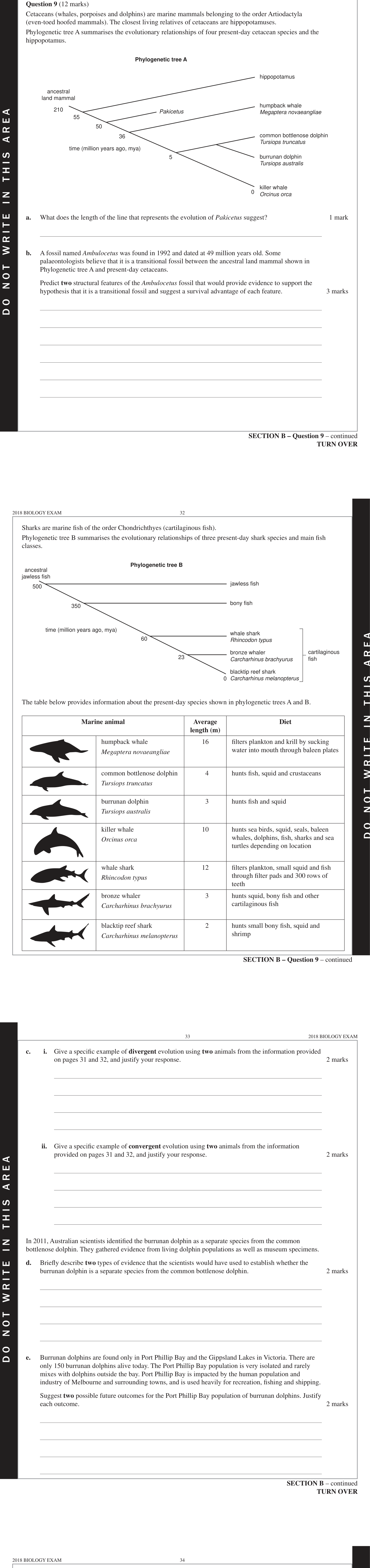 Biology 2018 Exam Question 9(b) — Fossil record and faunal succession, Index and transitional fossils