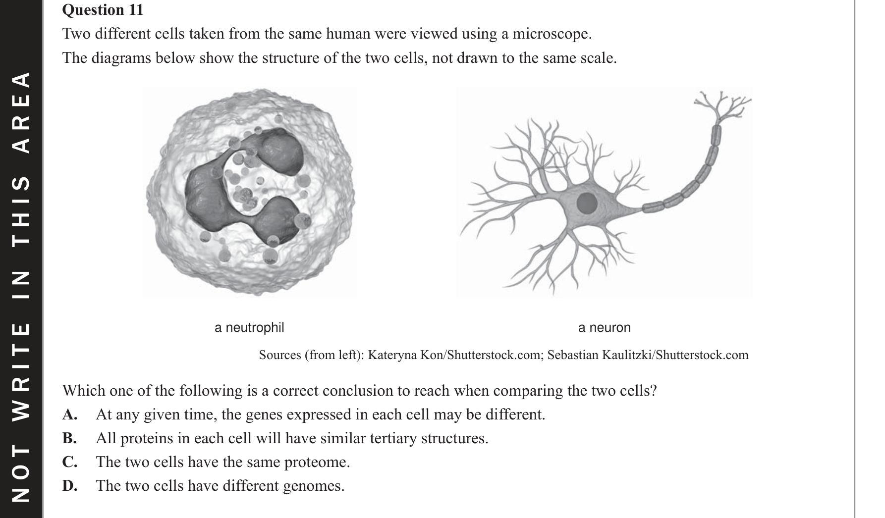 Biology 2019 Exam Question 11 — Proteome diversity and enzyme function