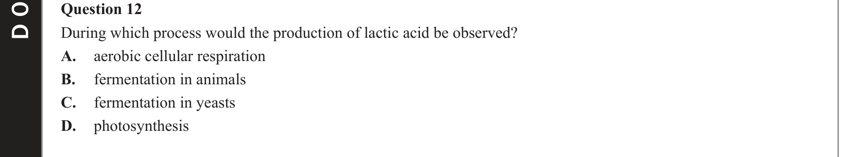 Biology 2019 Exam Question 12 — Anaerobic fermentation in animals