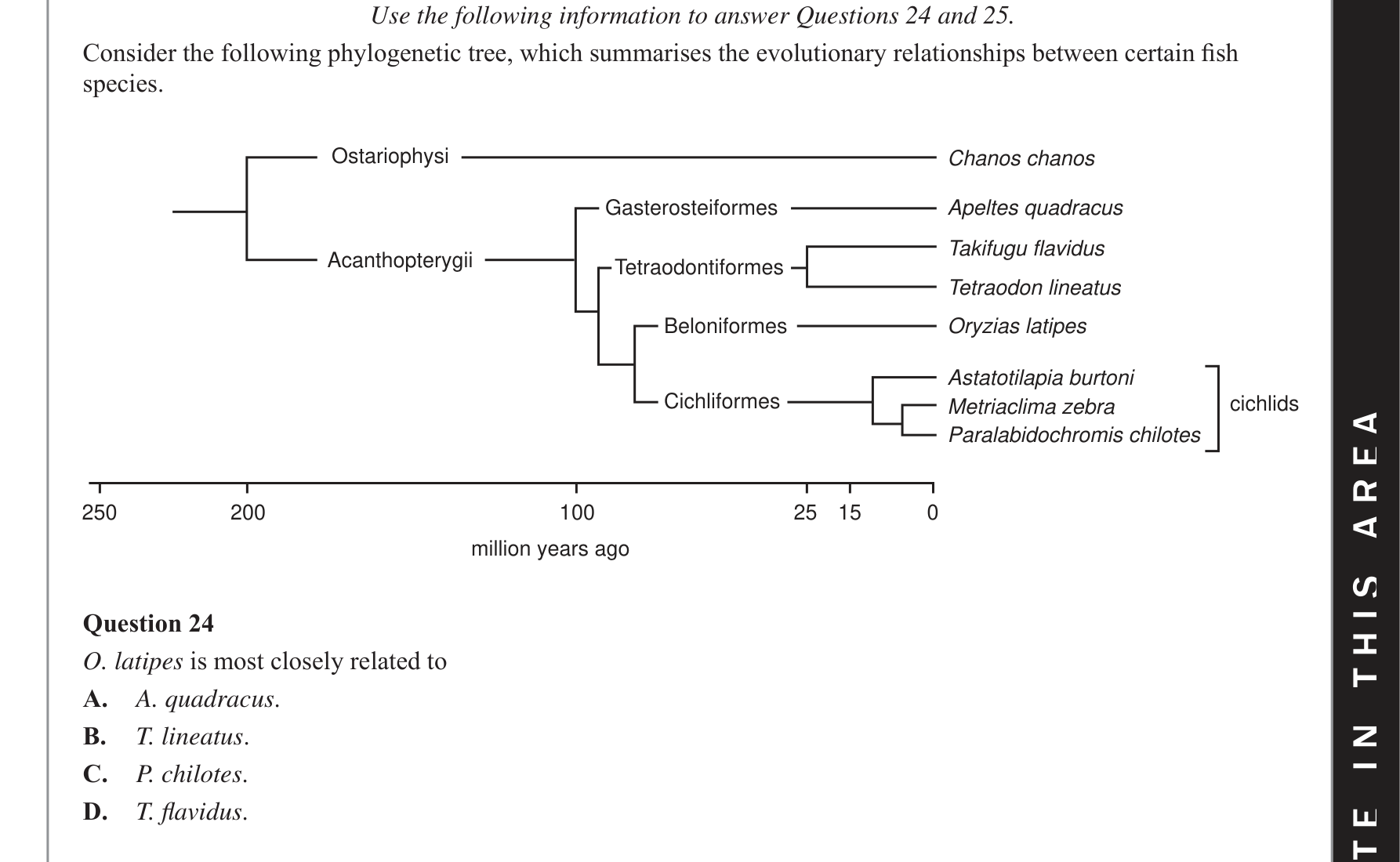 Biology 2019 Exam Question 24 — Phylogenetic tree construction and interpretation