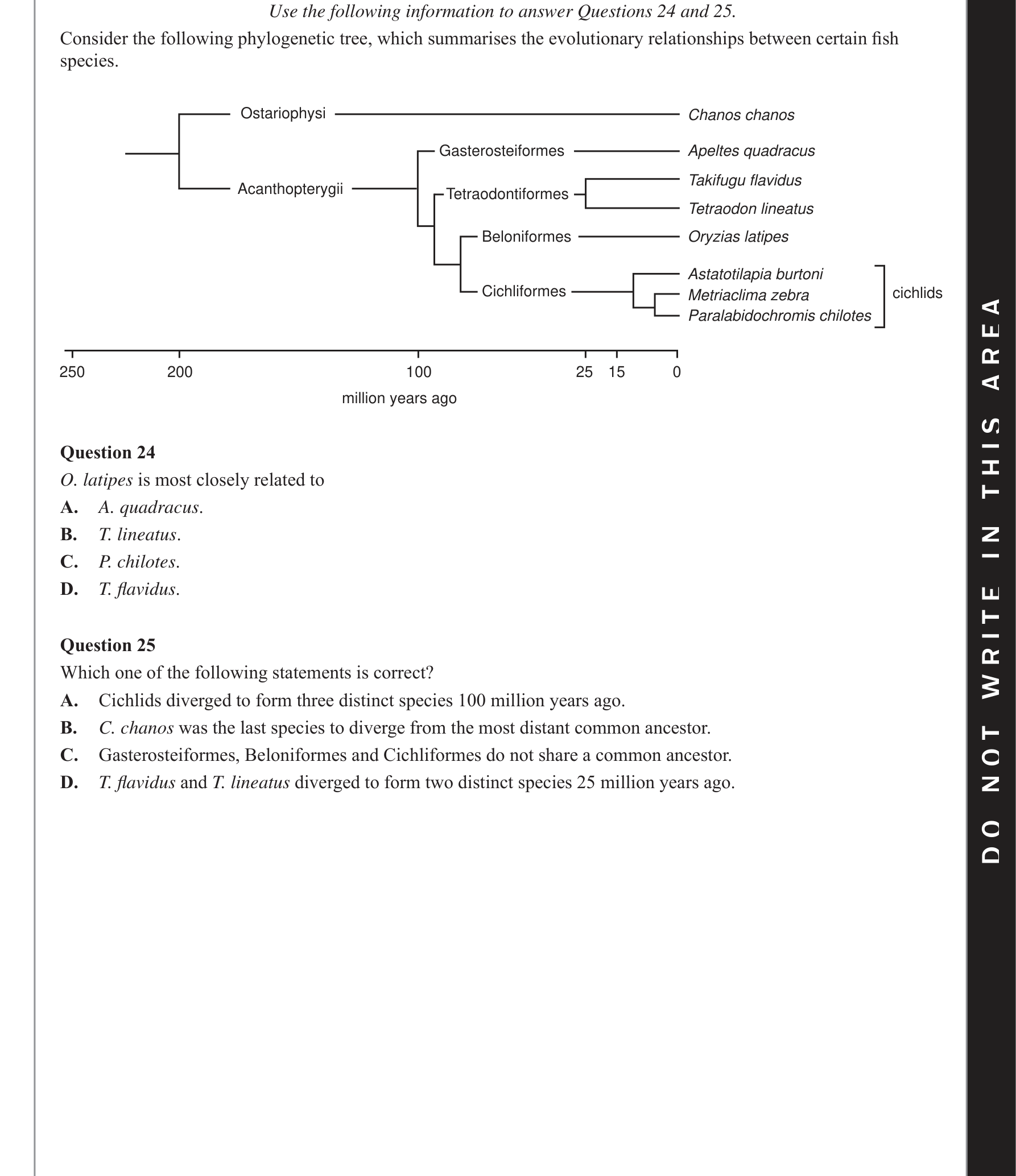 Biology 2019 Exam Question 25 — Phylogenetic tree construction and interpretation