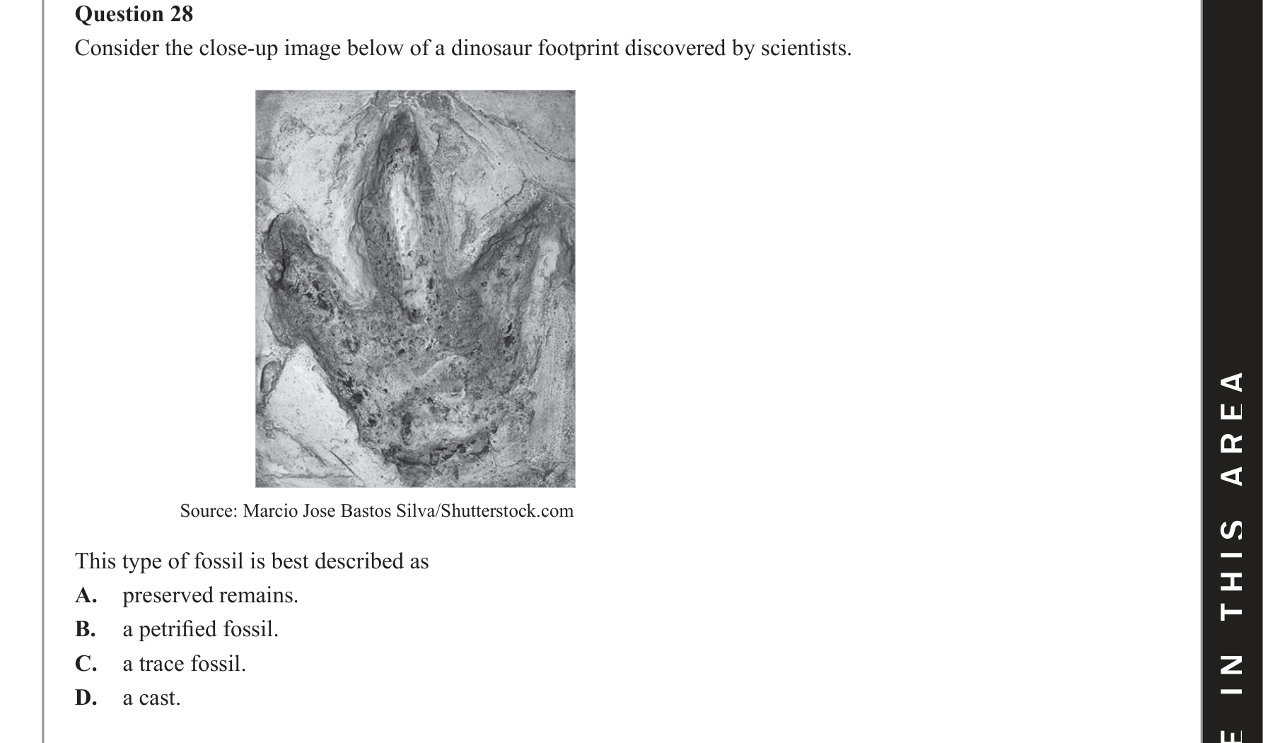 Biology 2019 Exam Question 28 — Fossil record and faunal succession