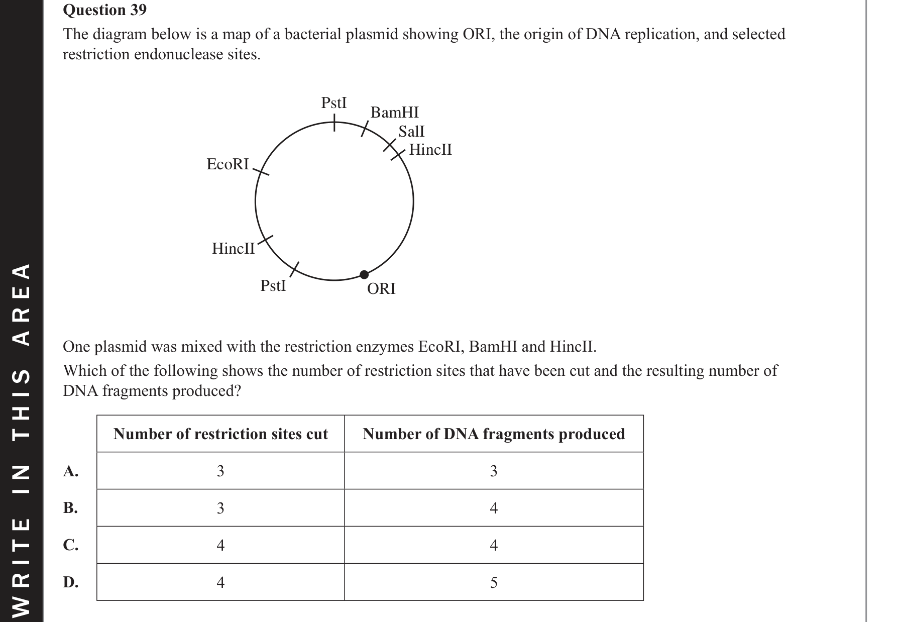 Biology 2019 Exam Question 39 — Enzymes for DNA manipulation, Recombinant plasmids and bacterial transformation