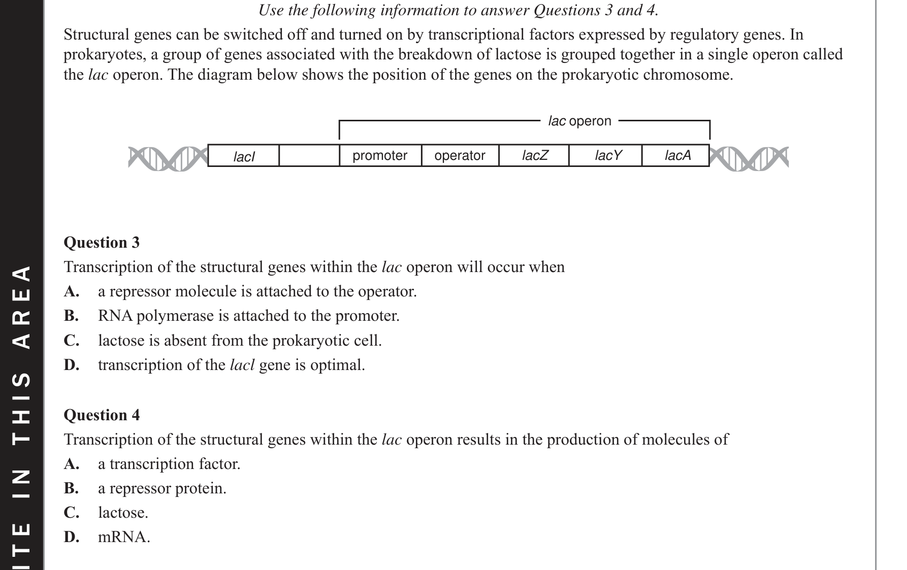 Biology 2019 Exam Question 4 — Prokaryotic trp operon regulation, Transcription and RNA processing