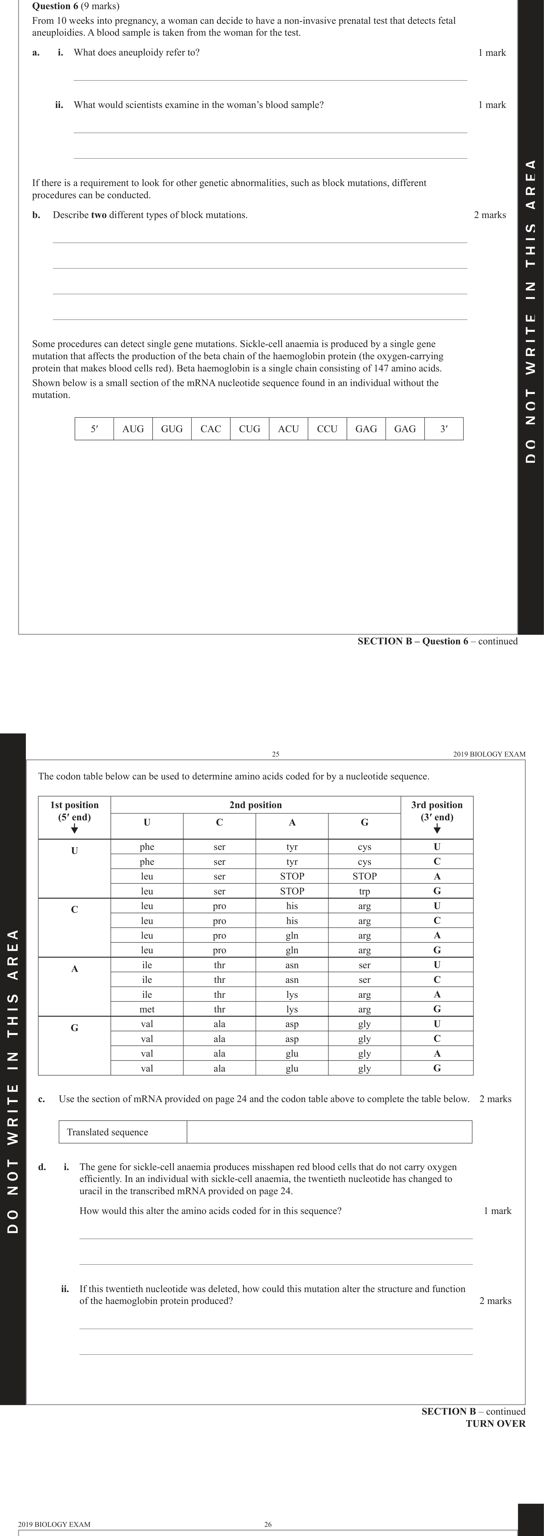 Biology 2019 Exam Question 6(a)(ii) — Gel electrophoresis and DNA profiling