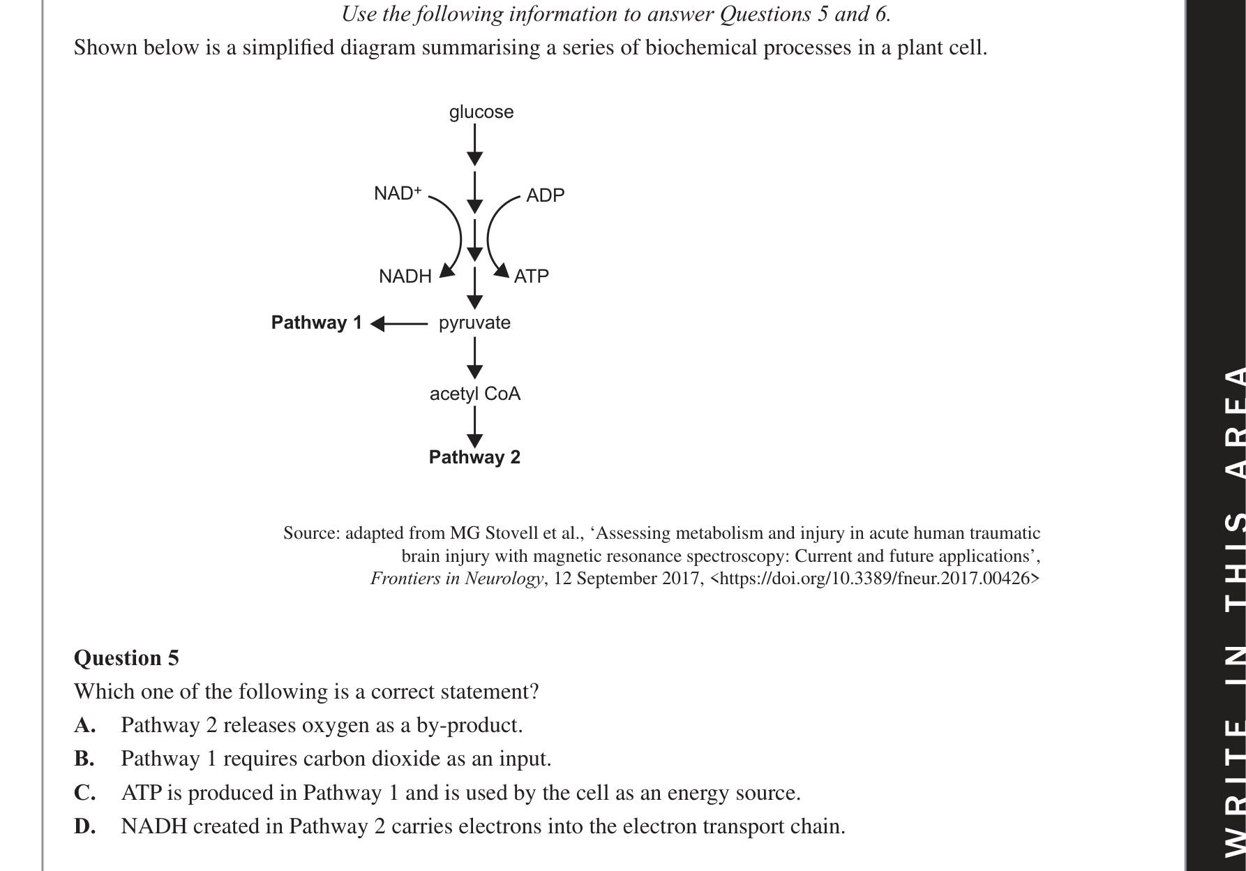 Biology 2020 Exam Question 5 — Glycolysis inputs, outputs and location, Krebs Cycle inputs, outputs and location