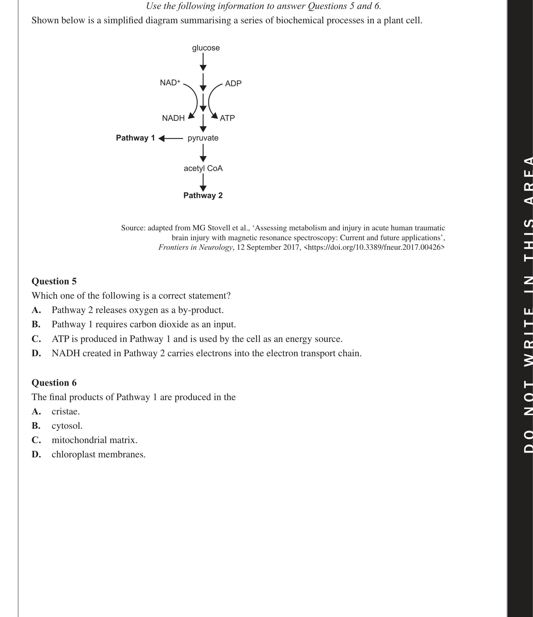 Biology 2020 Exam Question 6 — Glycolysis inputs, outputs and location, Krebs Cycle inputs, outputs and location