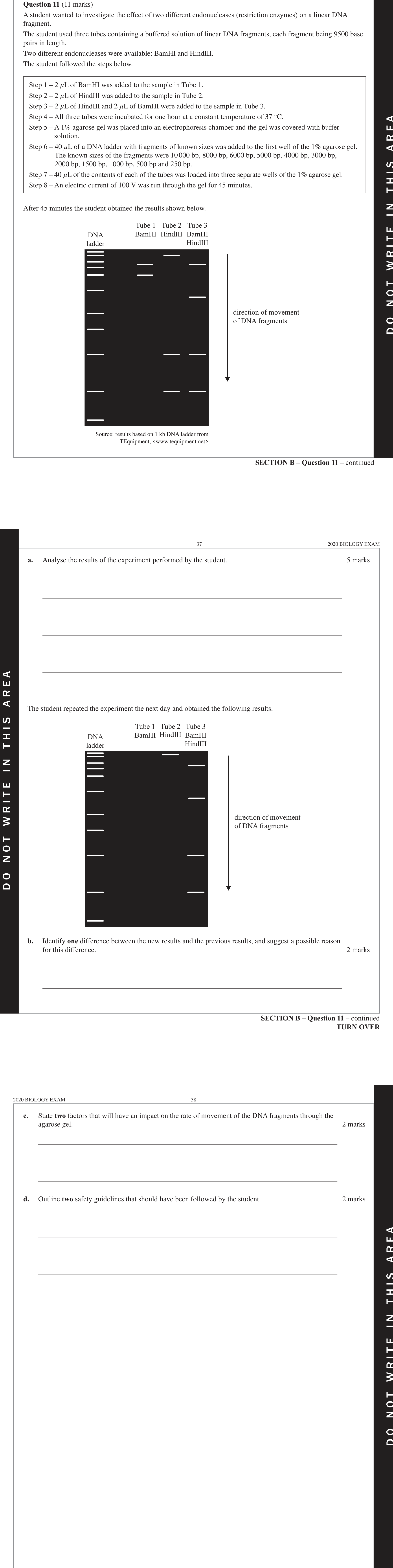 Biology 2020 Exam Question 11(b) — Gel electrophoresis and DNA profiling, Data analysis and limitations identification
