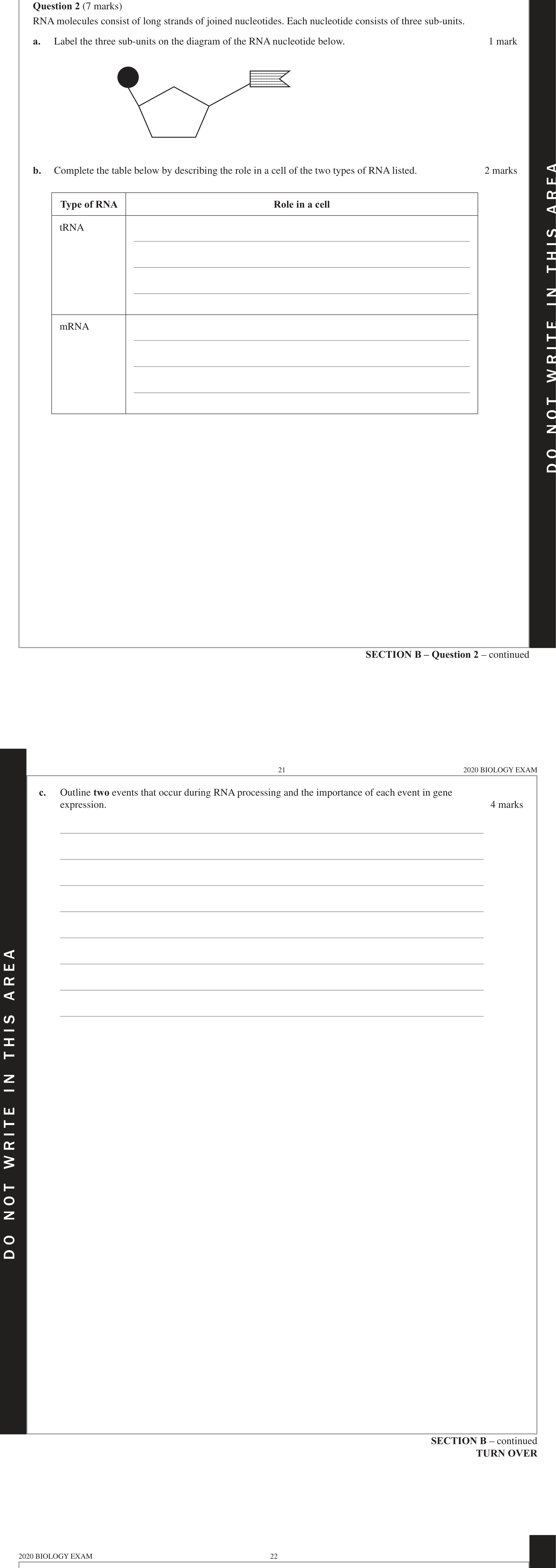 Biology 2020 Exam Question 2(a) — DNA and RNA structure comparison, Nucleotide composition of mRNA, rRNA, tRNA