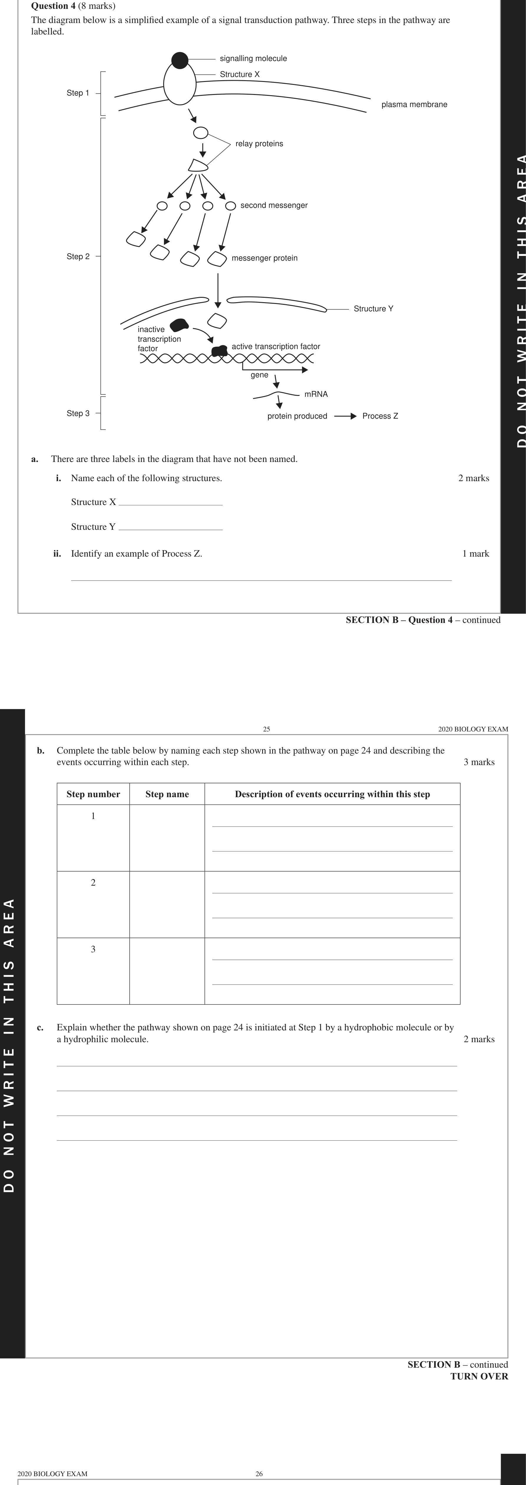 Biology 2020 Exam Question 4(b) — Proteome diversity and enzyme function