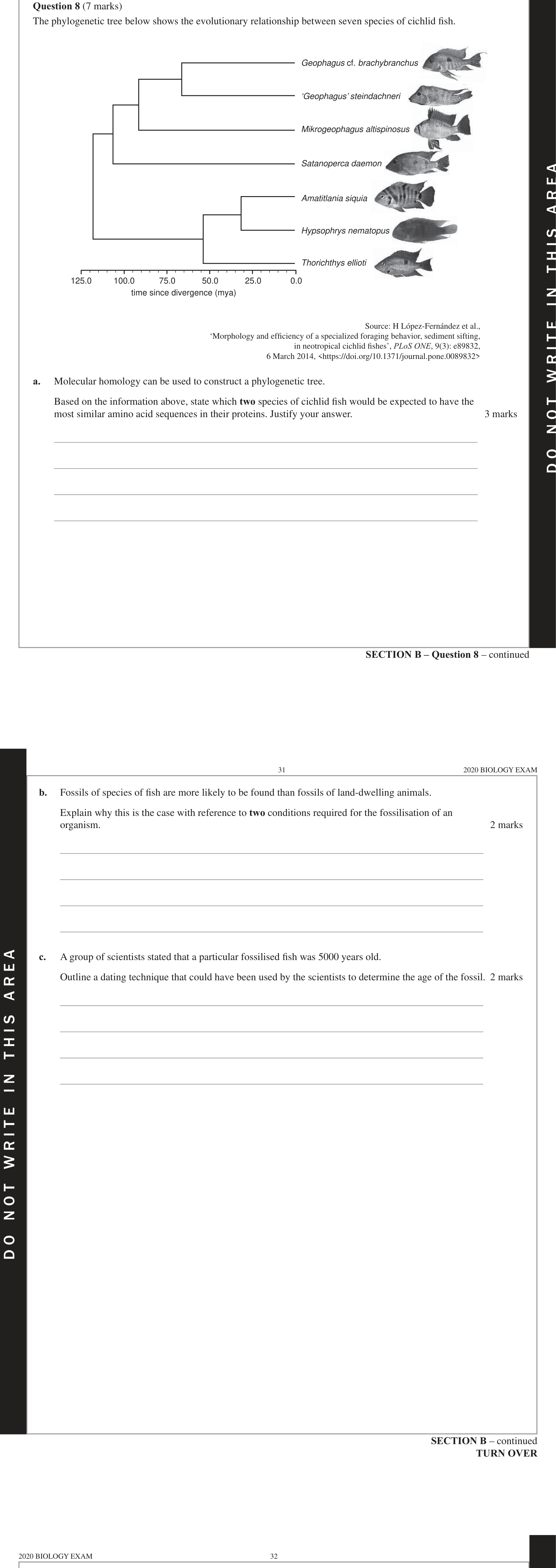 Biology 2020 Exam Question 8(b) — Fossil record and faunal succession