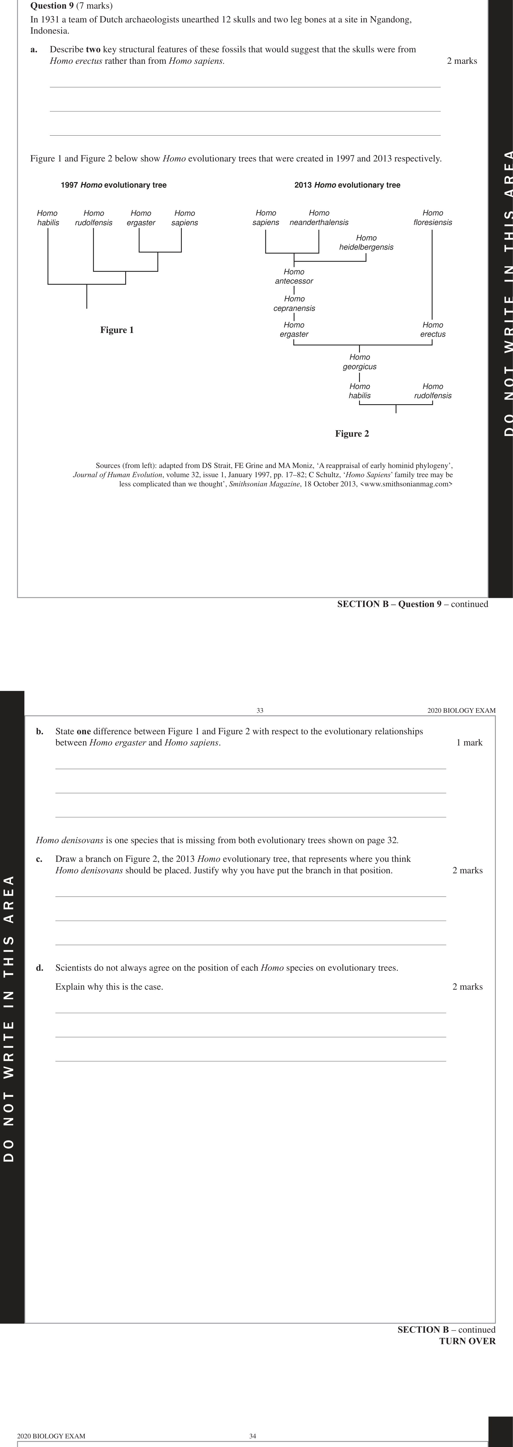 Biology 2020 Exam Question 9(b) — Contested fossil record interpretations, Australopithecus to Homo trends