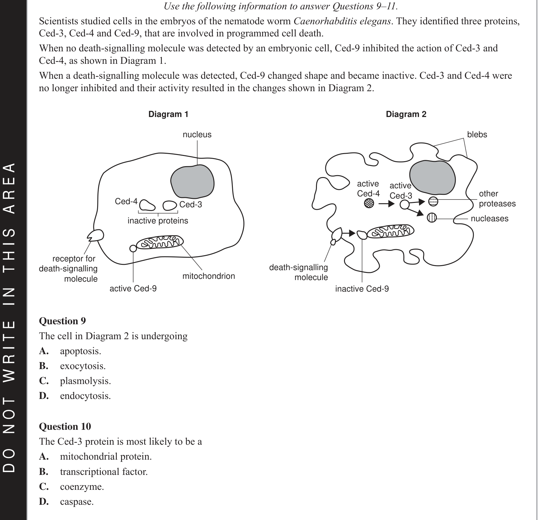 Biology 2021 Exam Question 10 — Proteome diversity and enzyme function