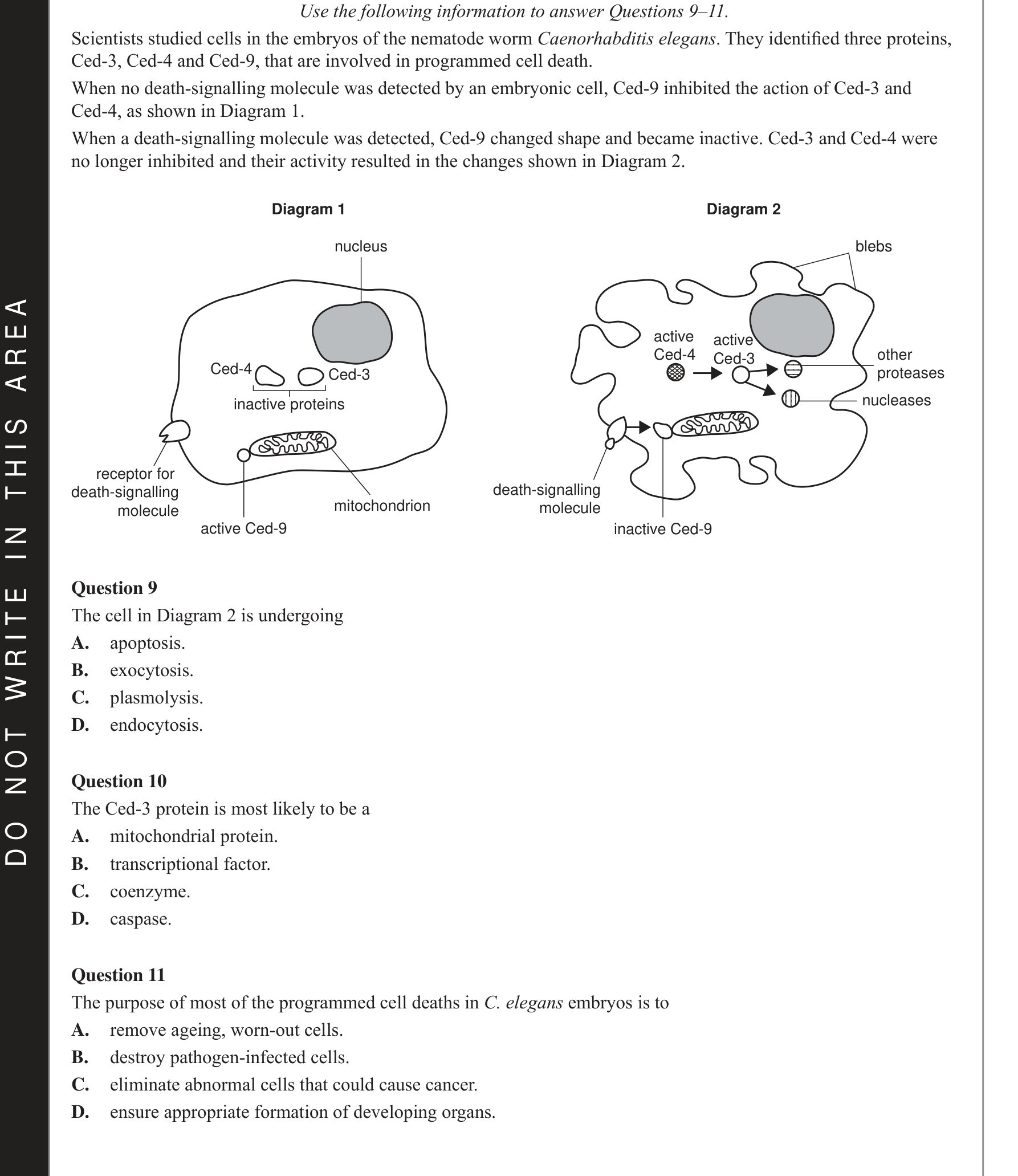 Biology 2021 Exam Question 11 — Proteome diversity and enzyme function