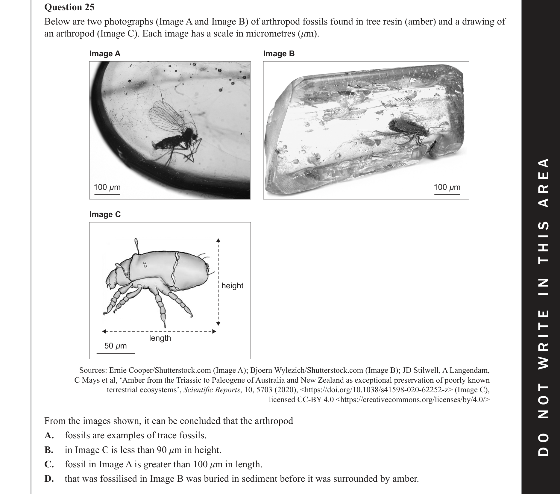Biology 2021 Exam Question 25 — Relative and absolute fossil dating, Fossil record and faunal succession
