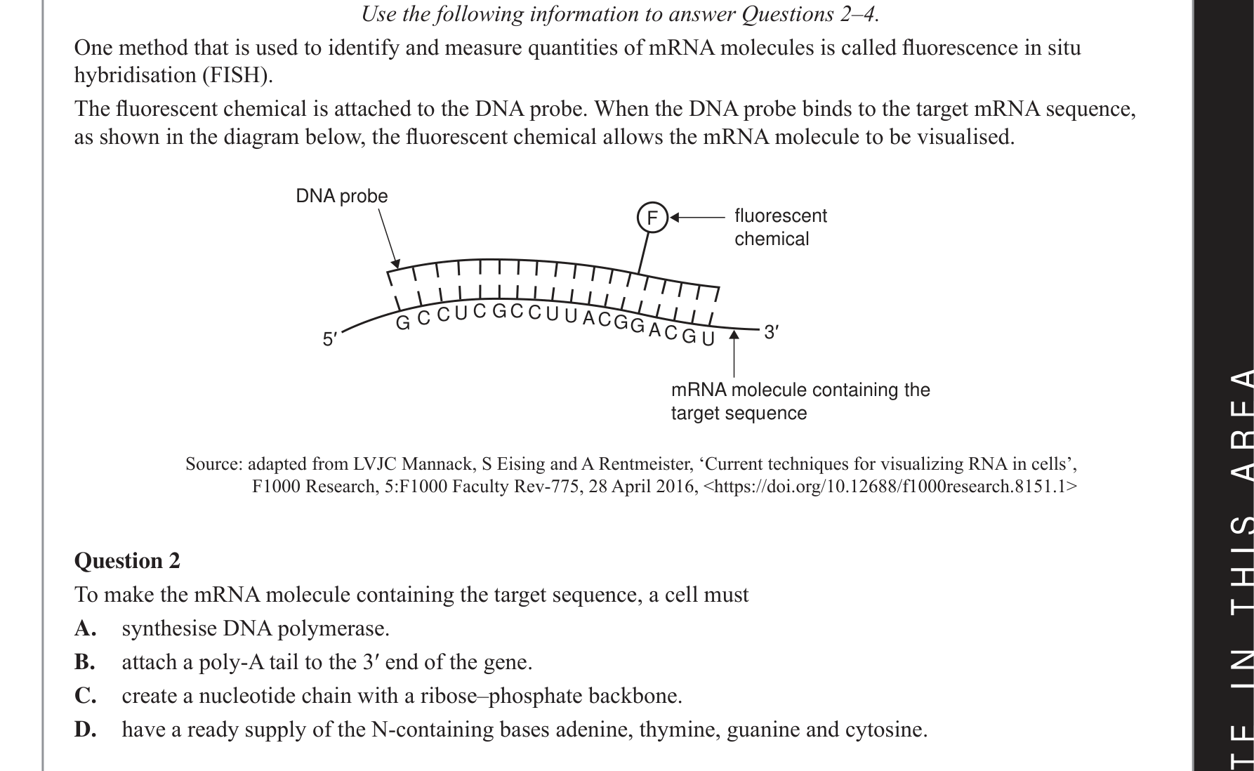 Biology 2021 Exam Question 2 — Transcription and RNA processing, DNA and RNA structure comparison