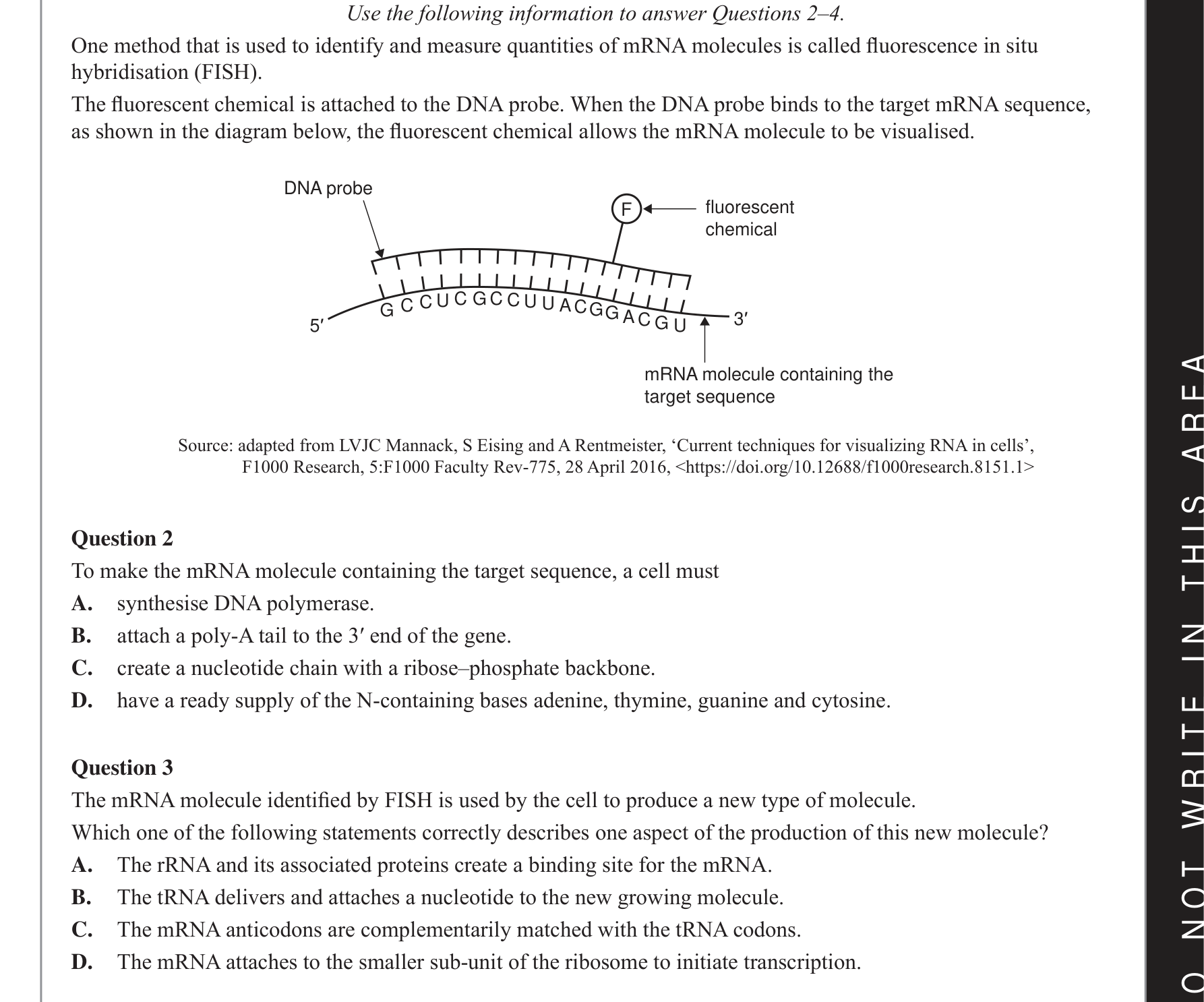 Biology 2021 Exam Question 3 — Translation by ribosomes