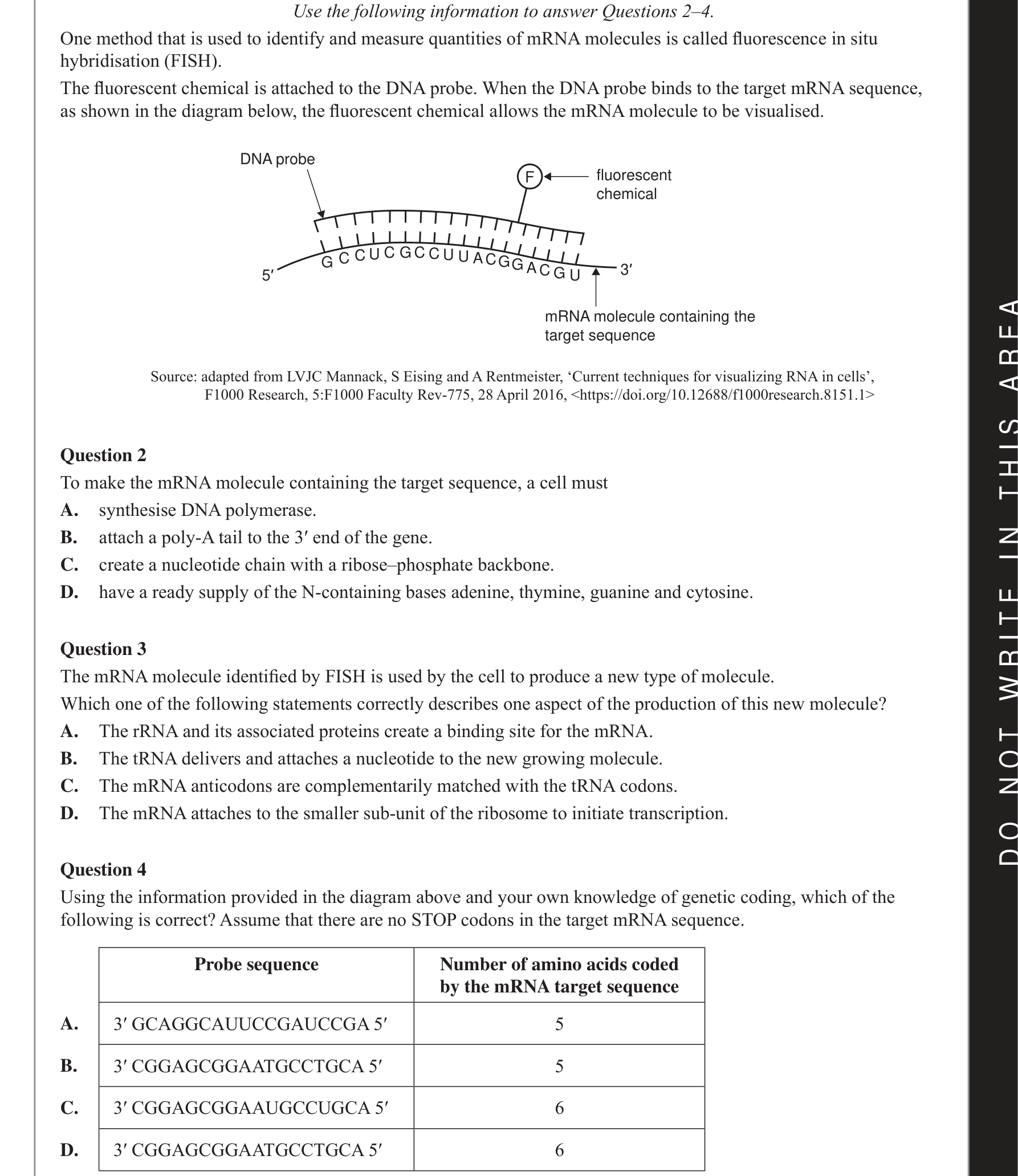 Biology 2021 Exam Question 4 — Universal triplet genetic code and degeneracy, Translation by ribosomes
