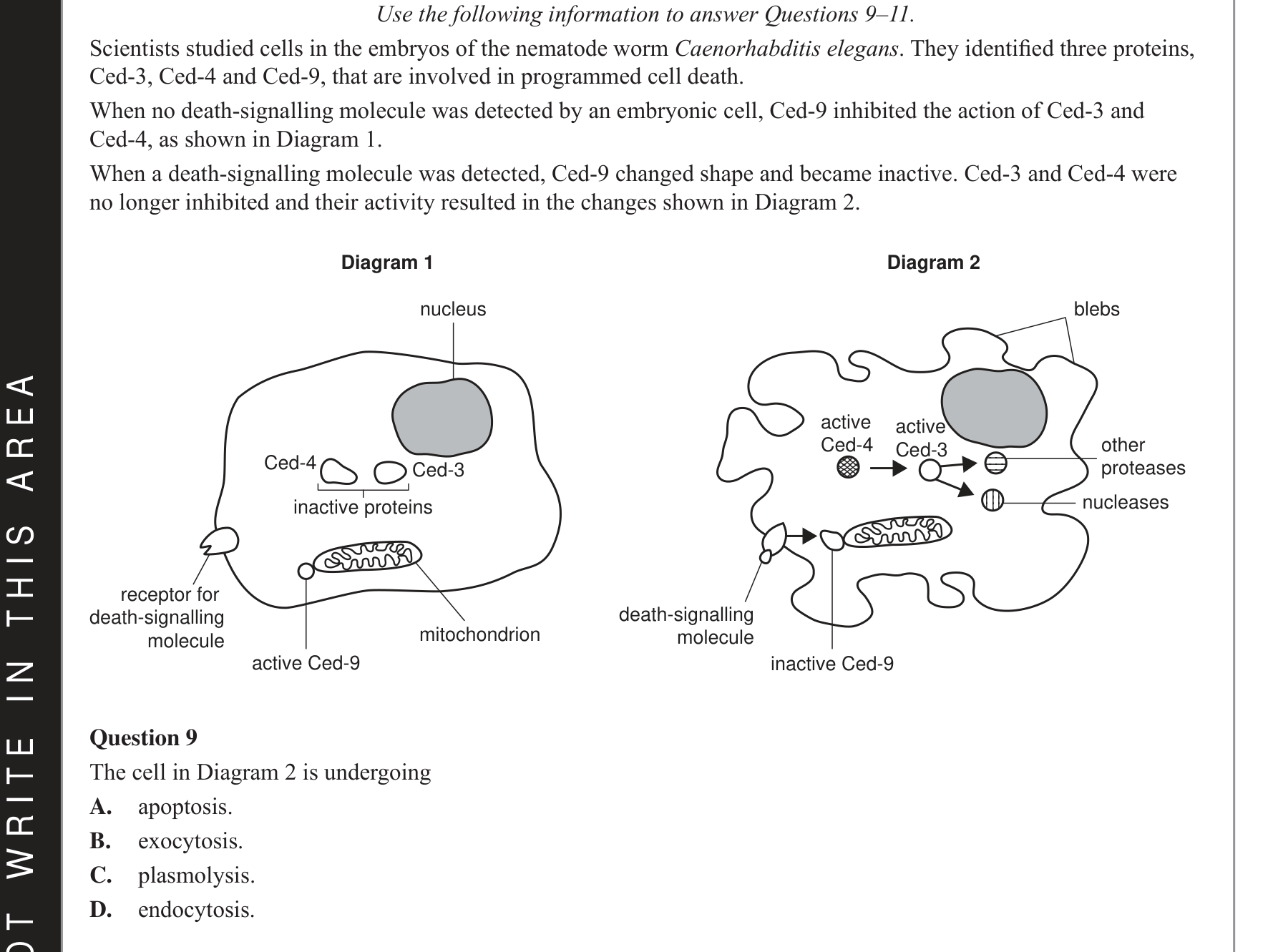 Biology 2021 Exam Question 9 — Proteome diversity and enzyme function
