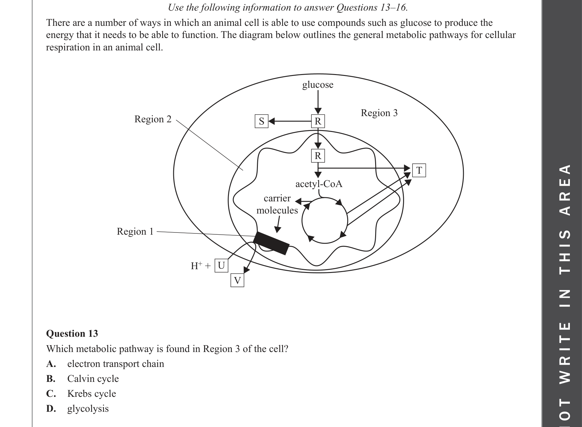 Biology 2022 Exam Question 13 — Glycolysis inputs, outputs and location
