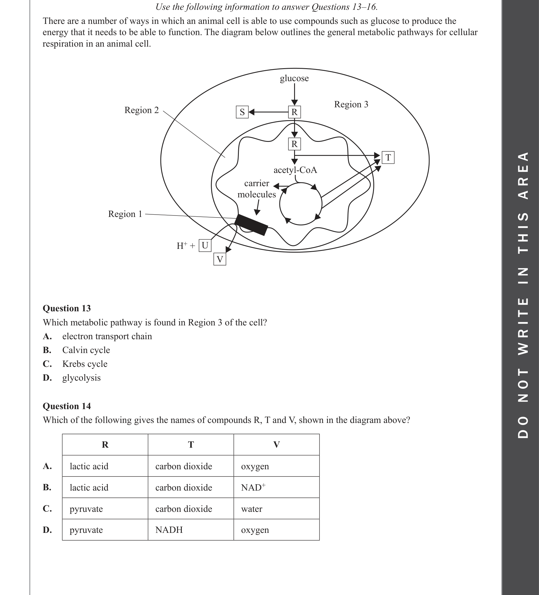 Biology 2022 Exam Question 14 — Glycolysis inputs, outputs and location, Krebs Cycle inputs, outputs and location