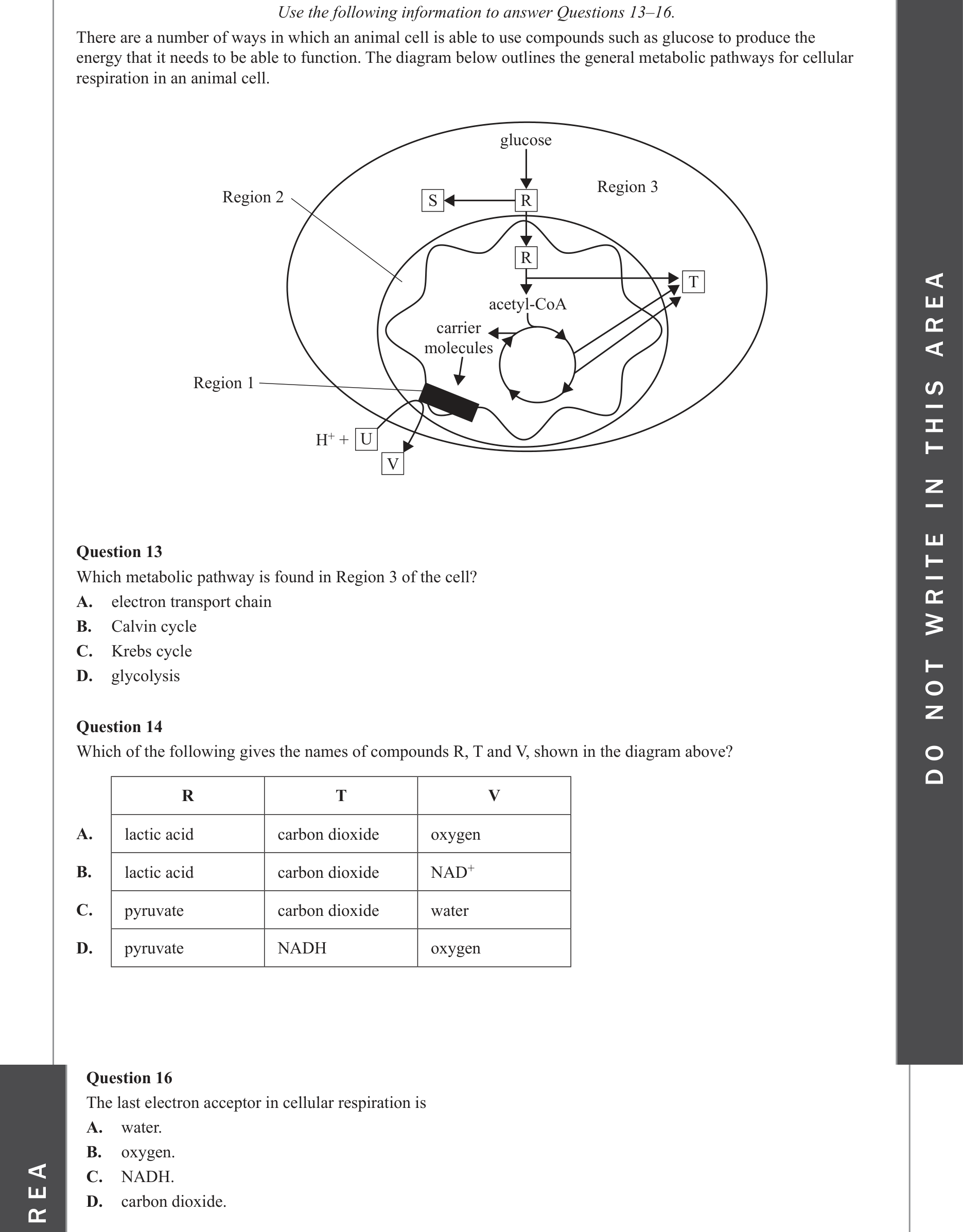 Biology 2022 Exam Question 16 — Electron transport chain and ATP yield