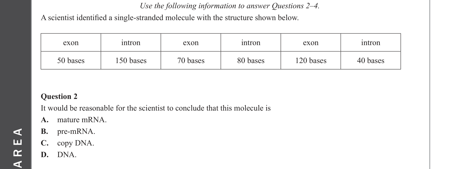 Biology 2022 Exam Question 2 — Gene structure: exons, introns, promoters, Transcription and RNA processing