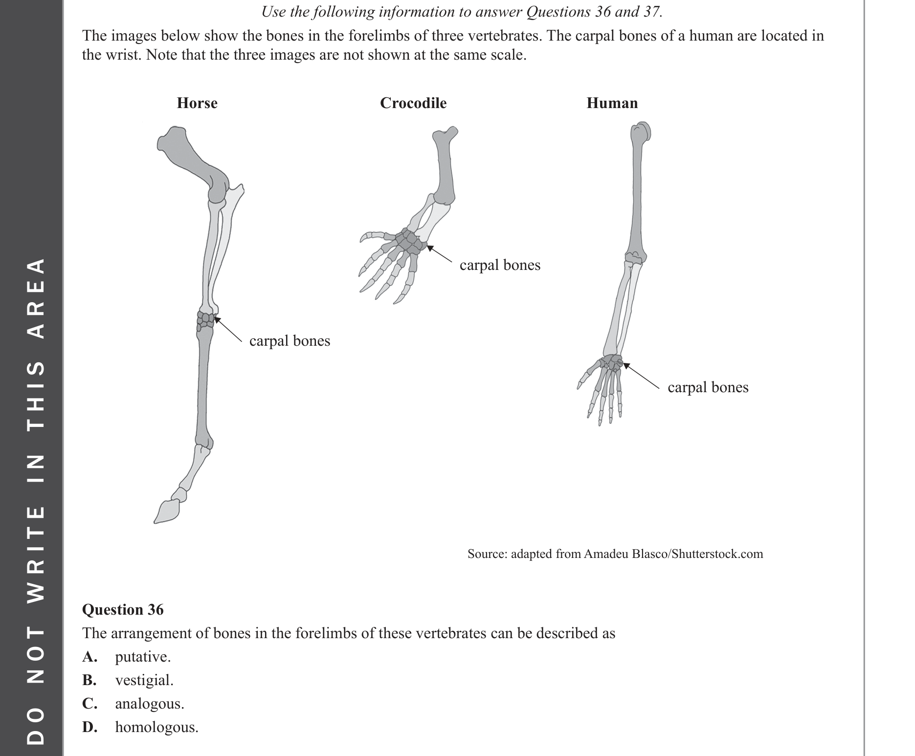 Biology 2022 Exam Question 36 — Homologous and vestigial structures