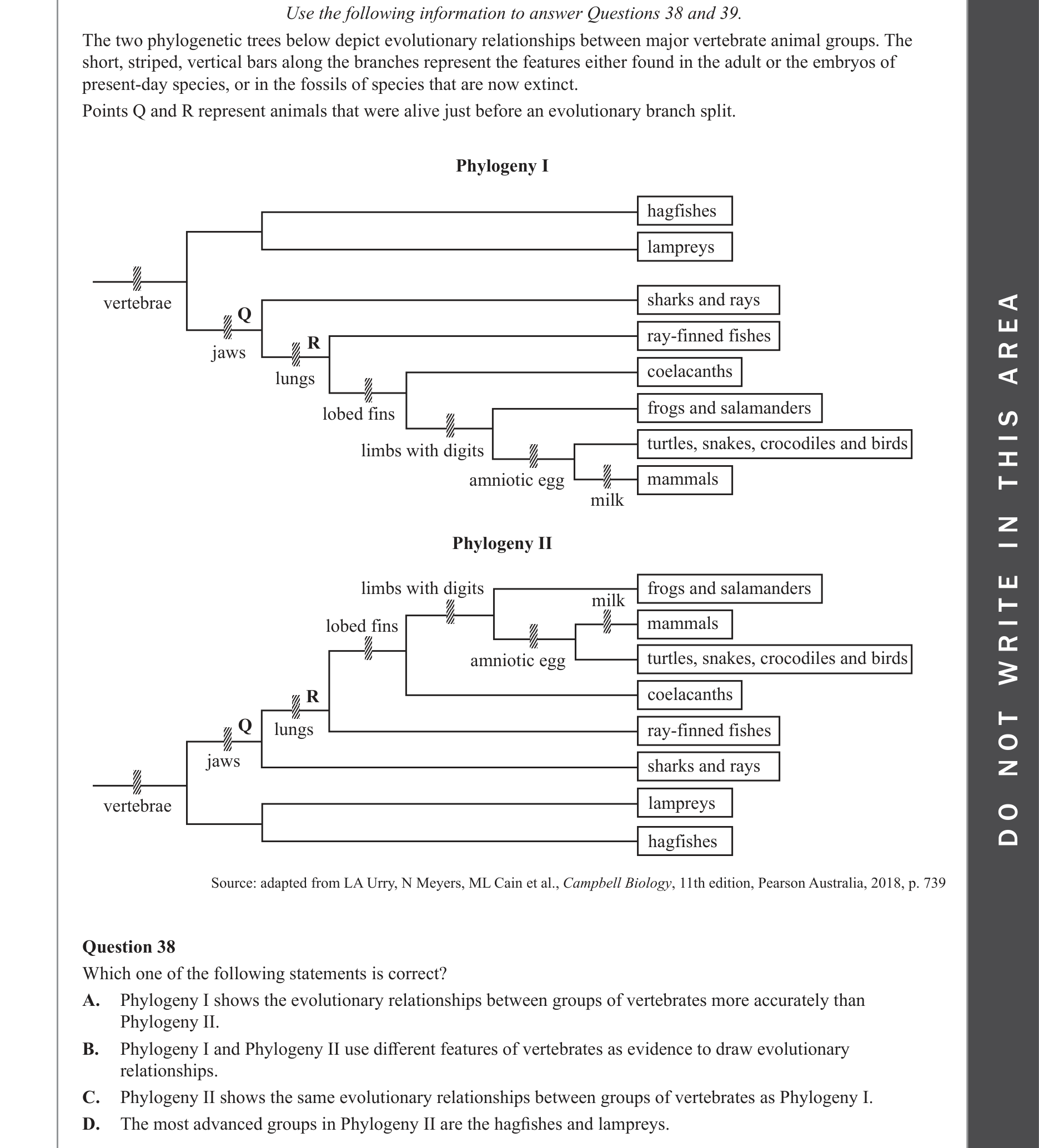 Biology 2022 Exam Question 38 — Phylogenetic tree construction and interpretation