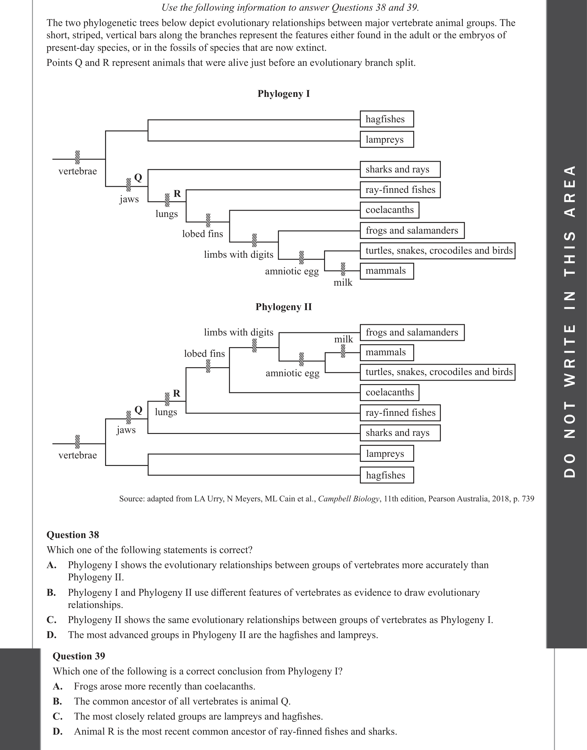 Biology 2022 Exam Question 39 — Phylogenetic tree construction and interpretation