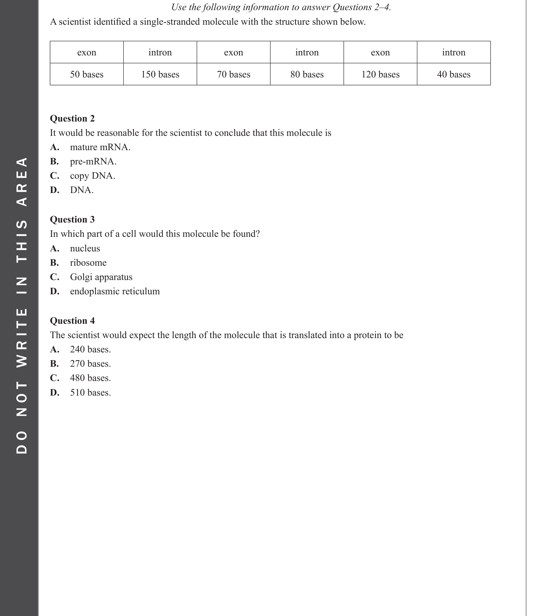 Biology 2022 Exam Question 4 — Transcription and RNA processing, Translation by ribosomes