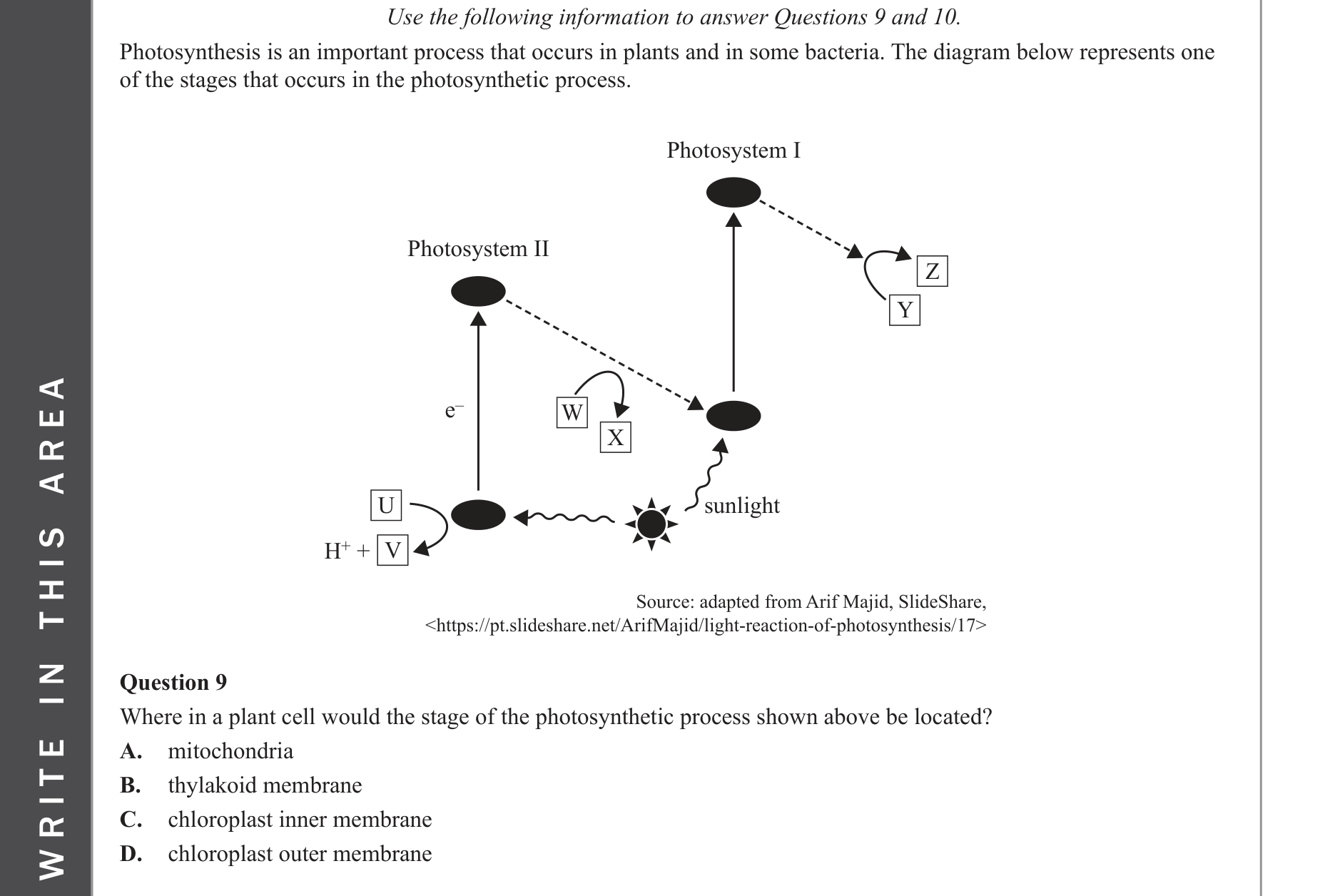 Biology 2022 Exam Question 9 — Light dependent stage inputs and outputs, Location of photosynthesis stages