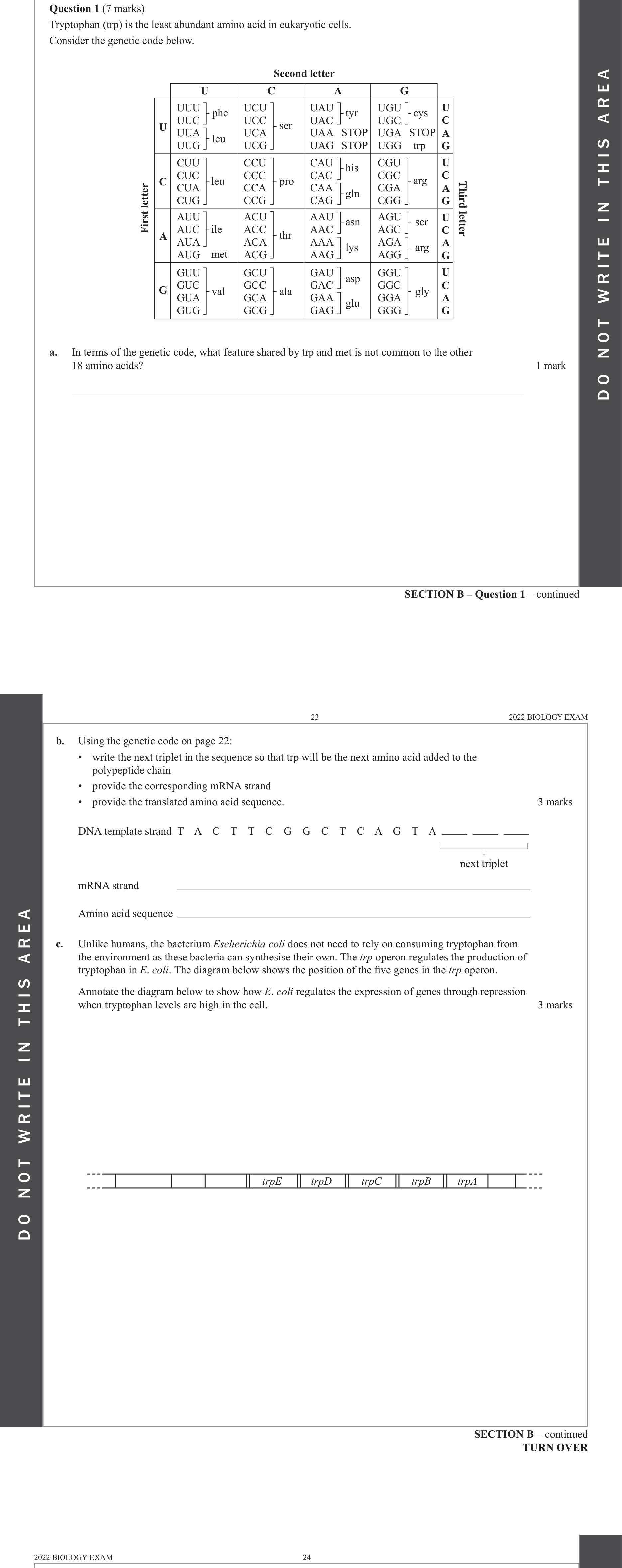 Biology 2022 Exam Question 1(b) — Universal triplet genetic code and degeneracy, Transcription and RNA processing, Translation by ribosomes