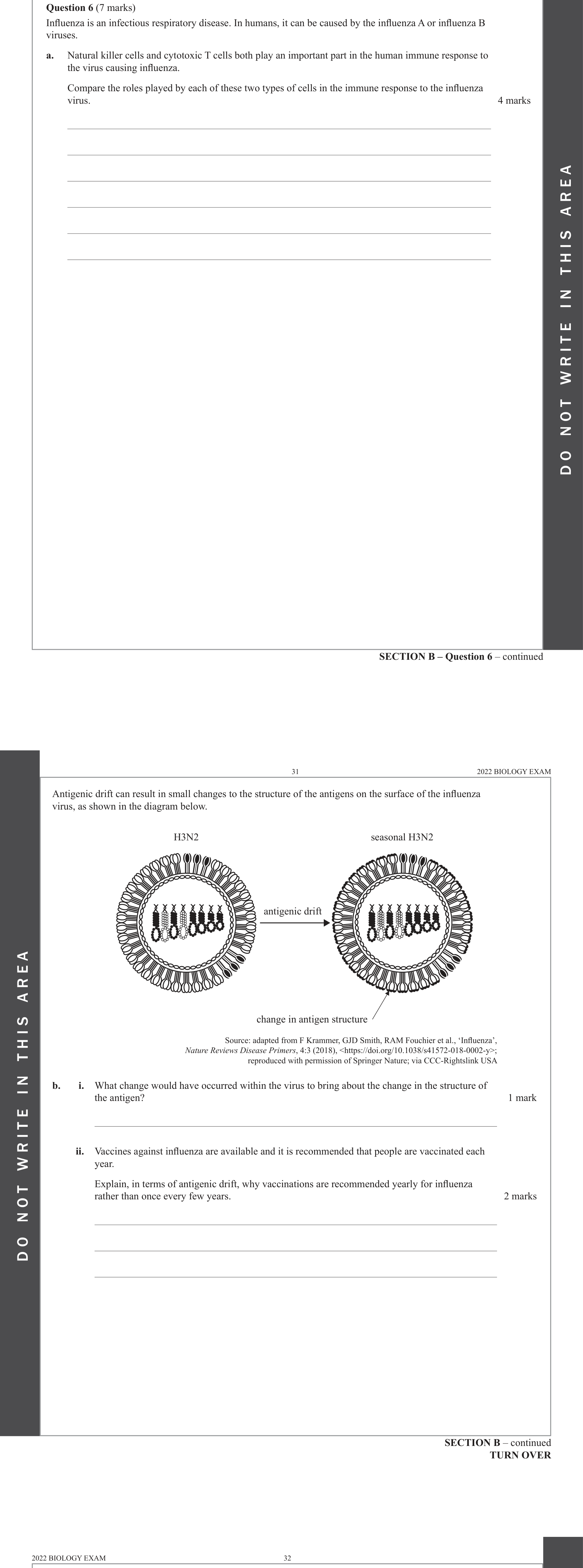 Biology 2022 Exam Question 6(a) — Innate immune cell roles, Helper T and cytotoxic T cells