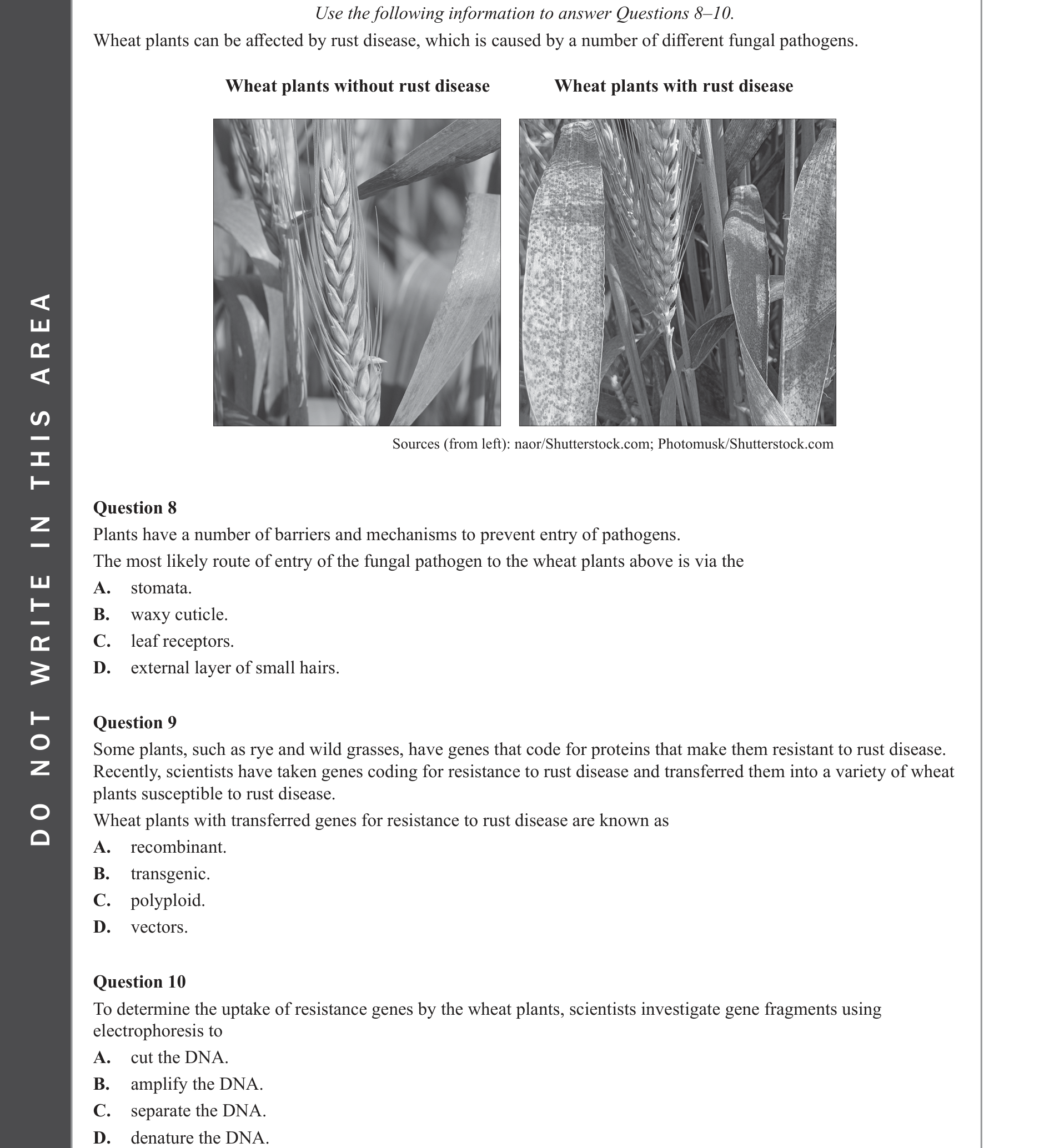 Biology 2023 Exam Question 10 — Gel electrophoresis and DNA profiling