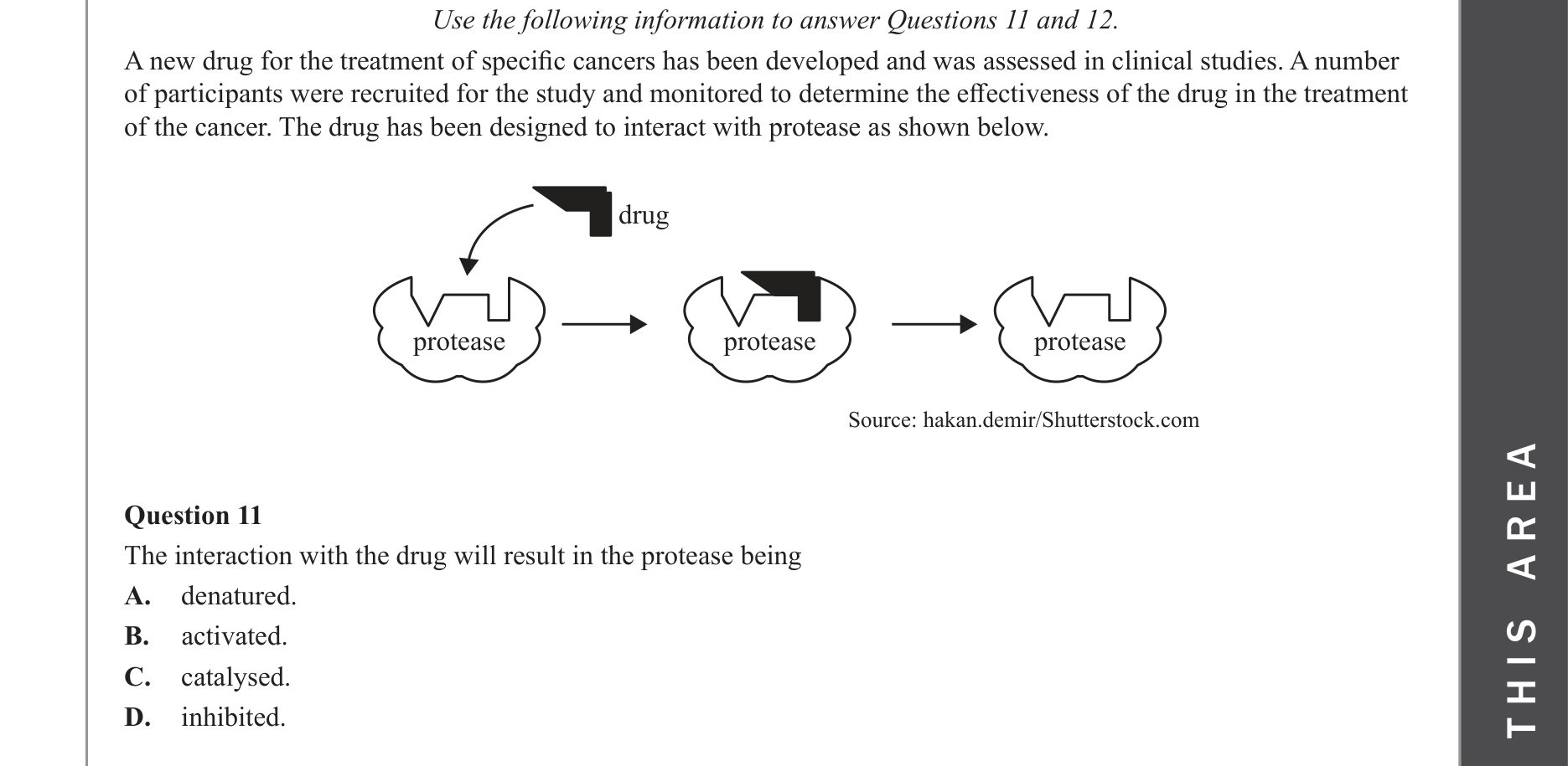 Biology 2023 Exam Question 11 — Competitive and non-competitive inhibitors