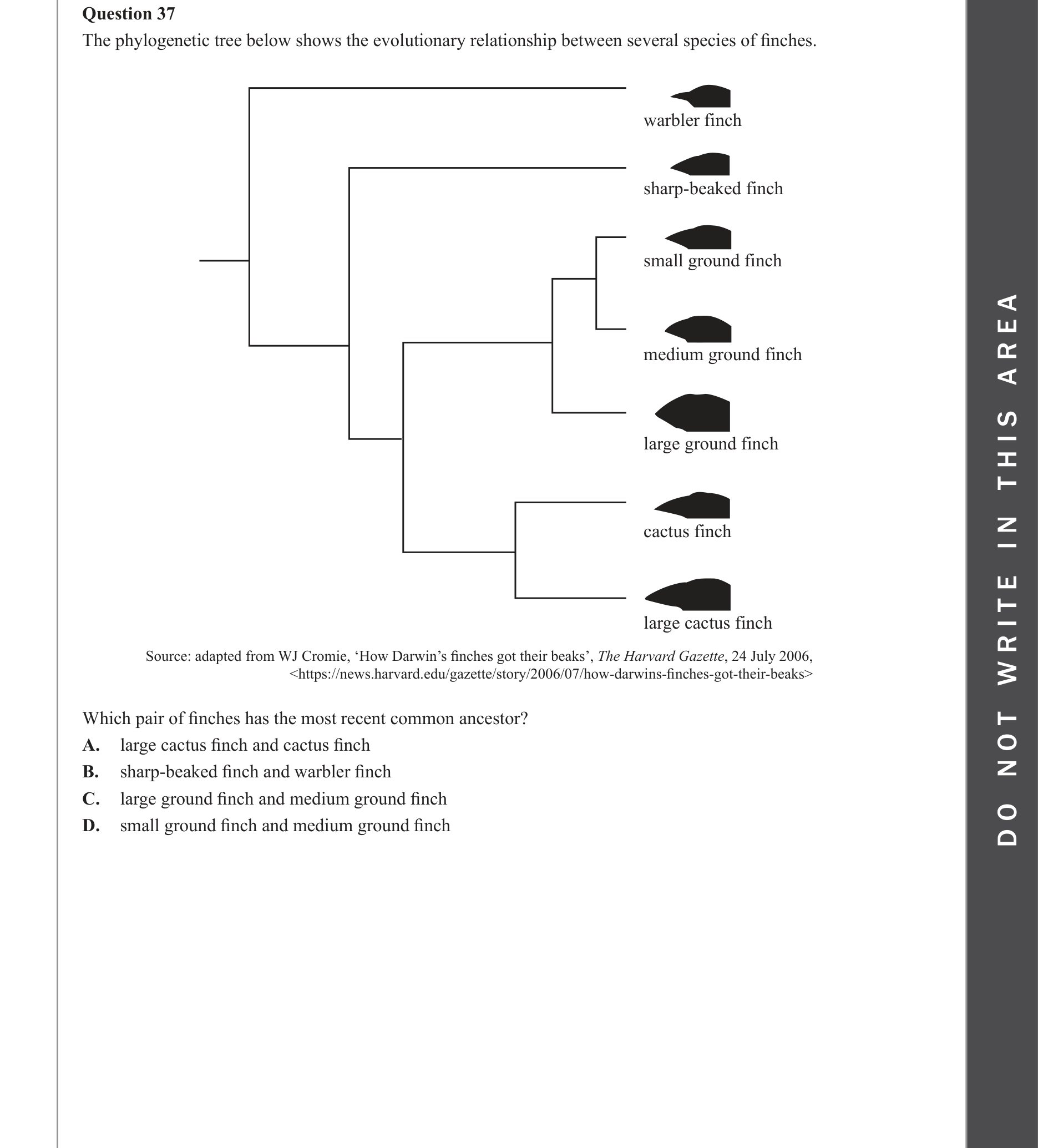 Biology 2023 Exam Question 37 — Phylogenetic tree construction and interpretation, Allopatric speciation: Galapagos finches