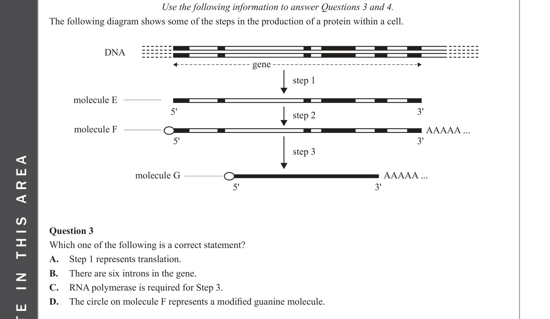 Biology 2023 Exam Question 3 — Transcription and RNA processing, Gene structure: exons, introns, promoters
