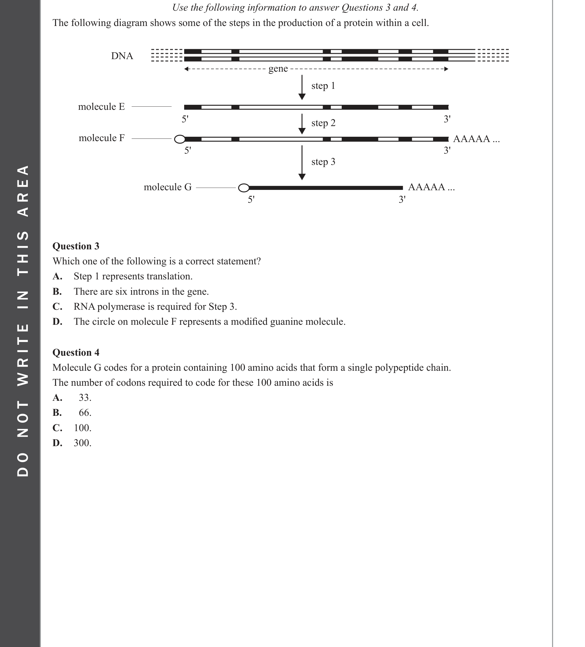 Biology 2023 Exam Question 4 — Universal triplet genetic code and degeneracy, Translation by ribosomes